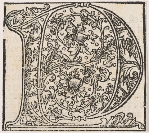 Decorated Initial Letter D Woodcut