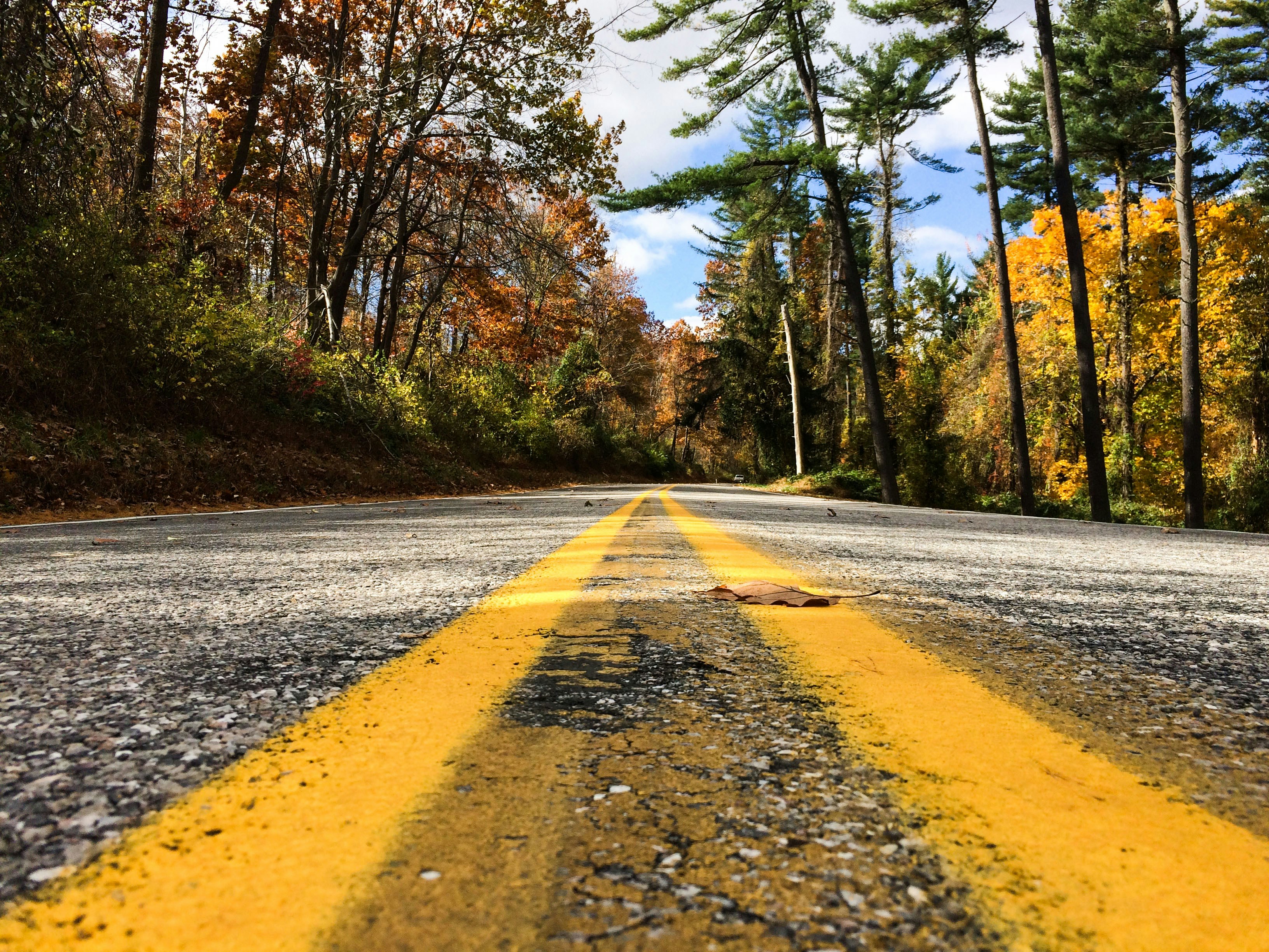 Autumn Forest Country Road