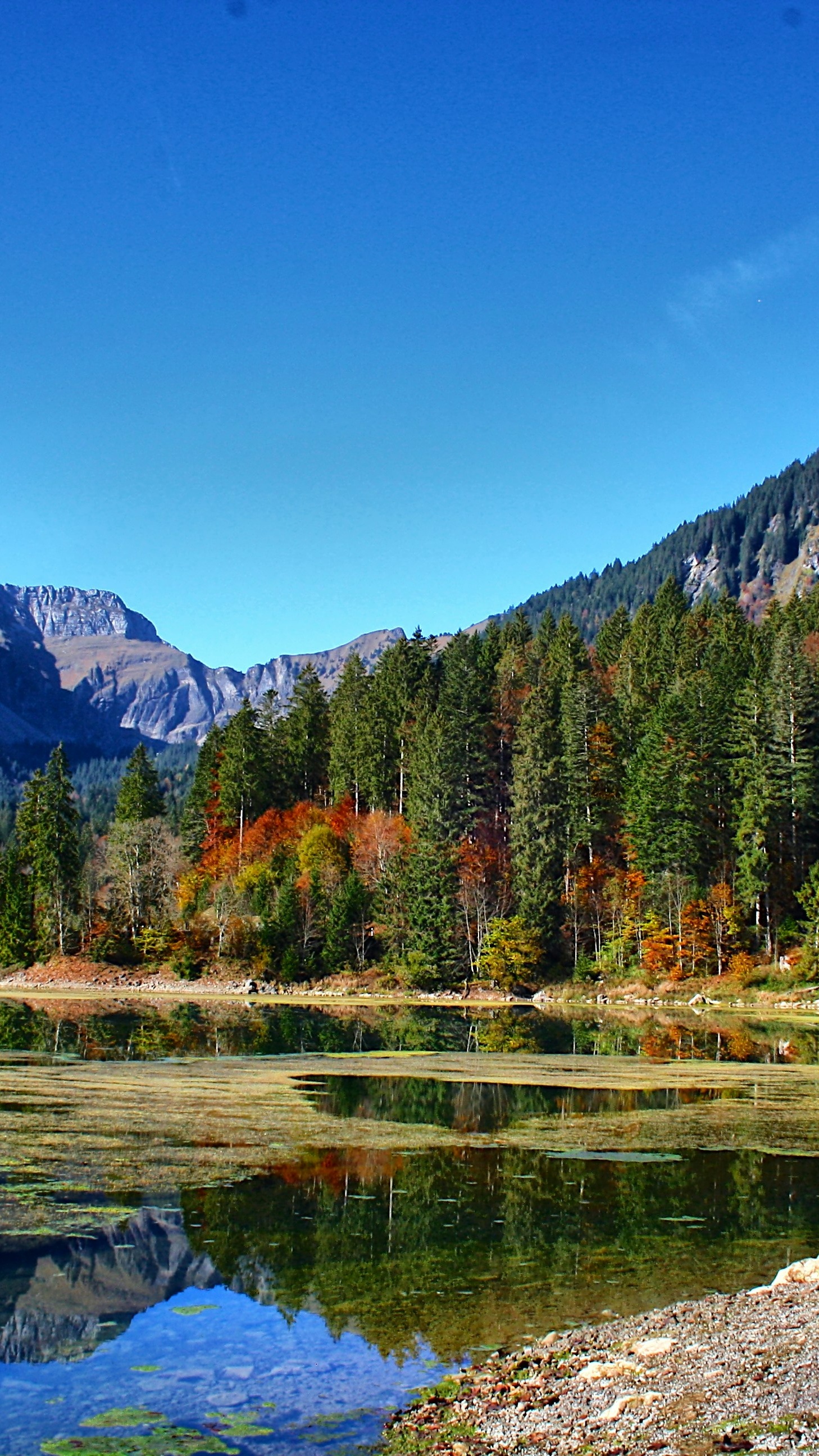 Autumn Mountain Lake Reflection