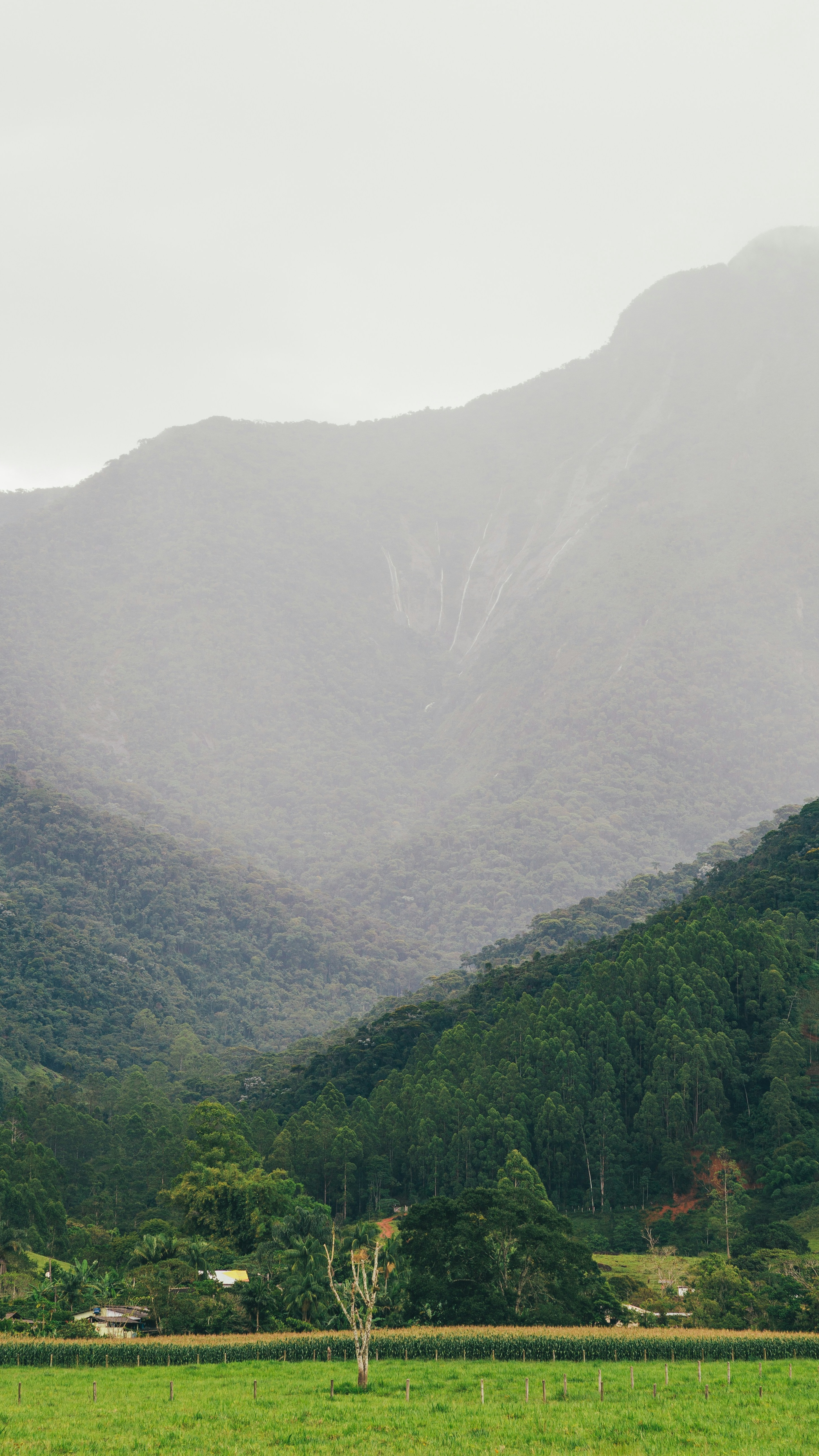 Landscapes
