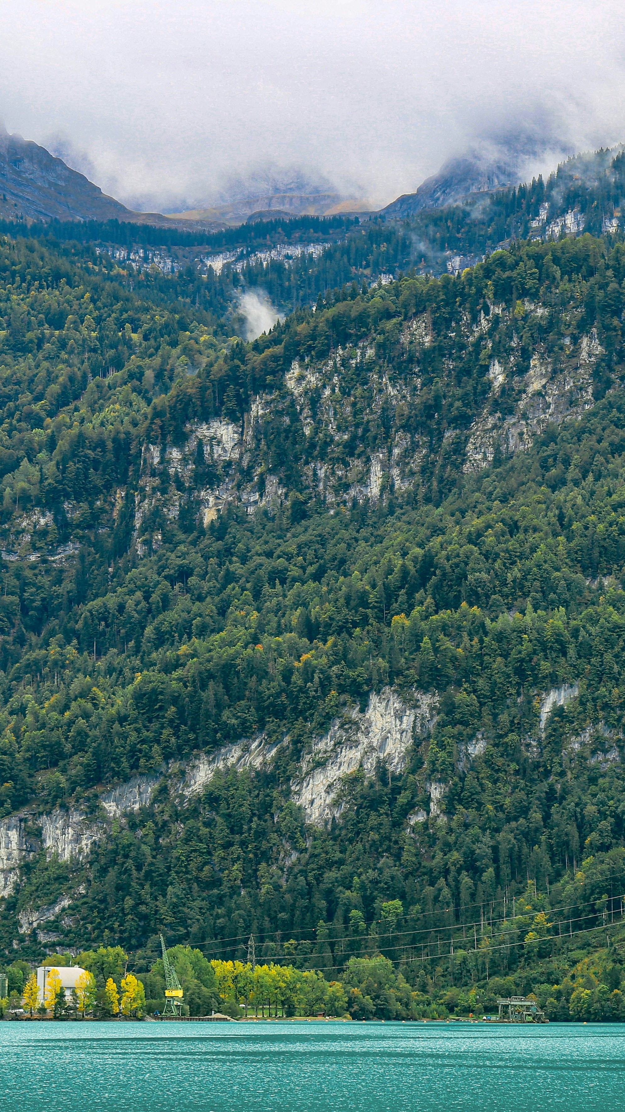 Wallpapers