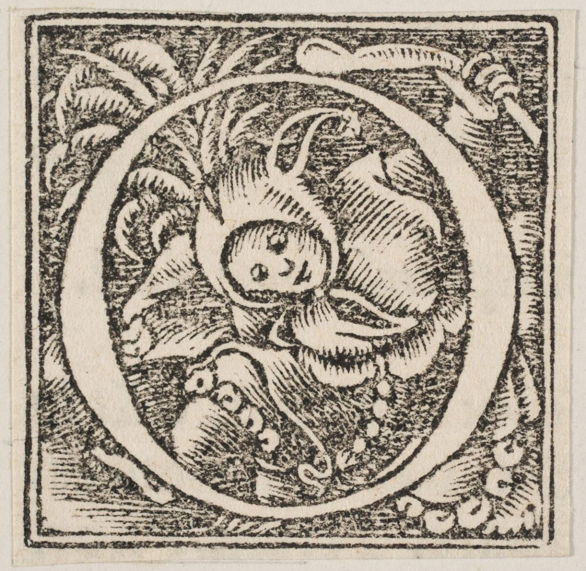 Decorative Woodcut Initial C
