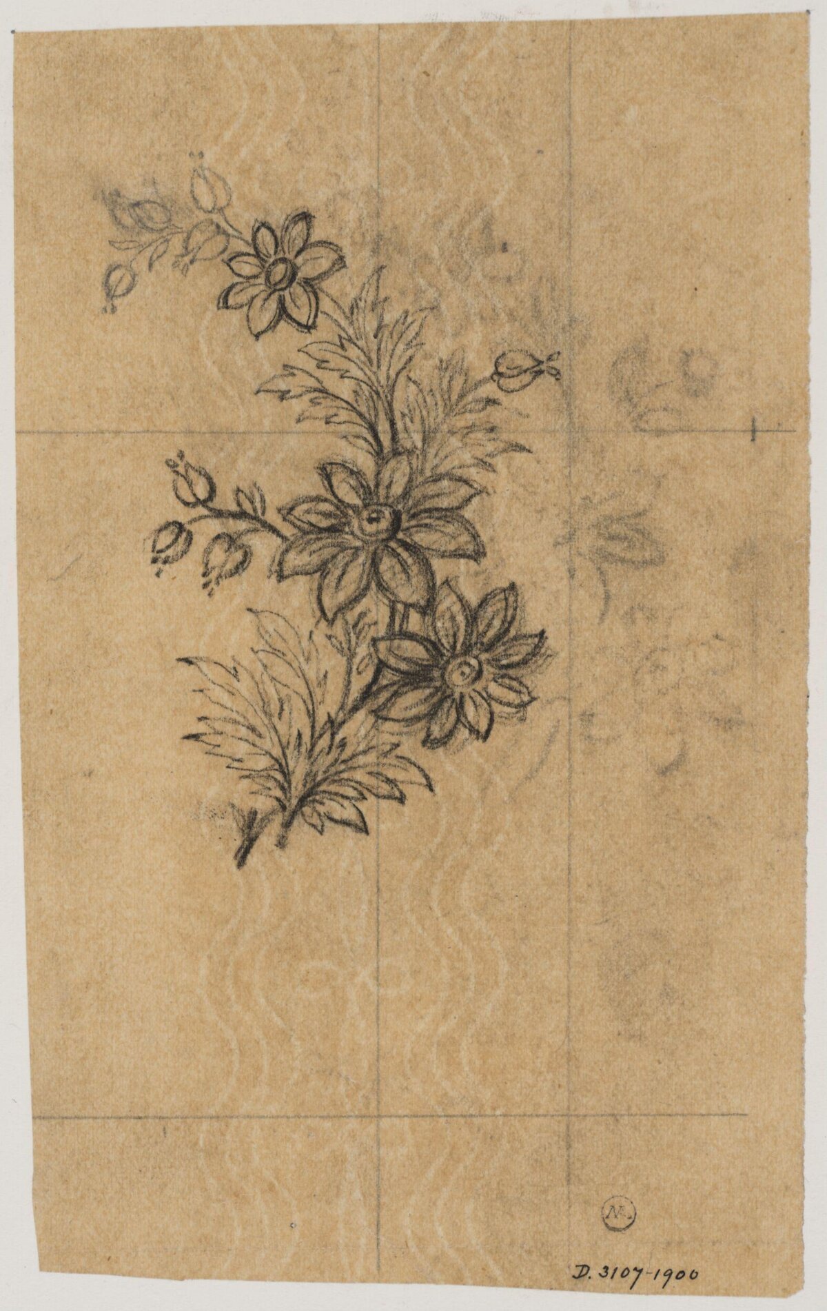 Pencil Sketch of Floral Branch