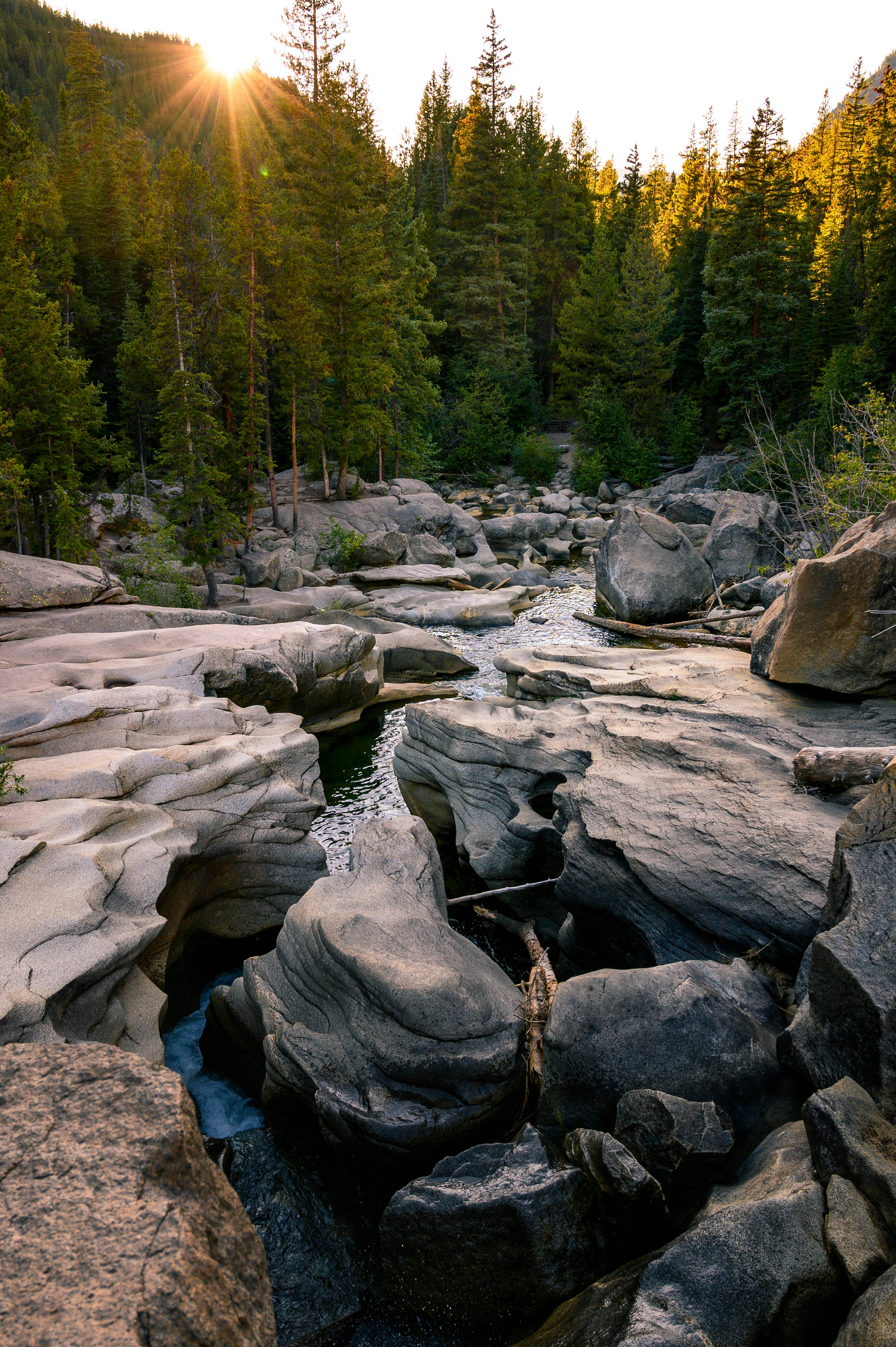 Rocky Forest River Gorge at Sunset