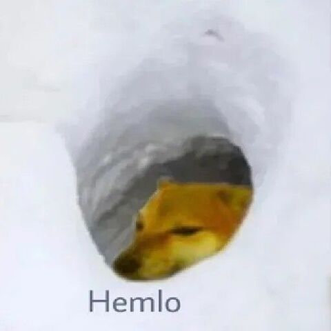Peeking Cat Hemlo Meme