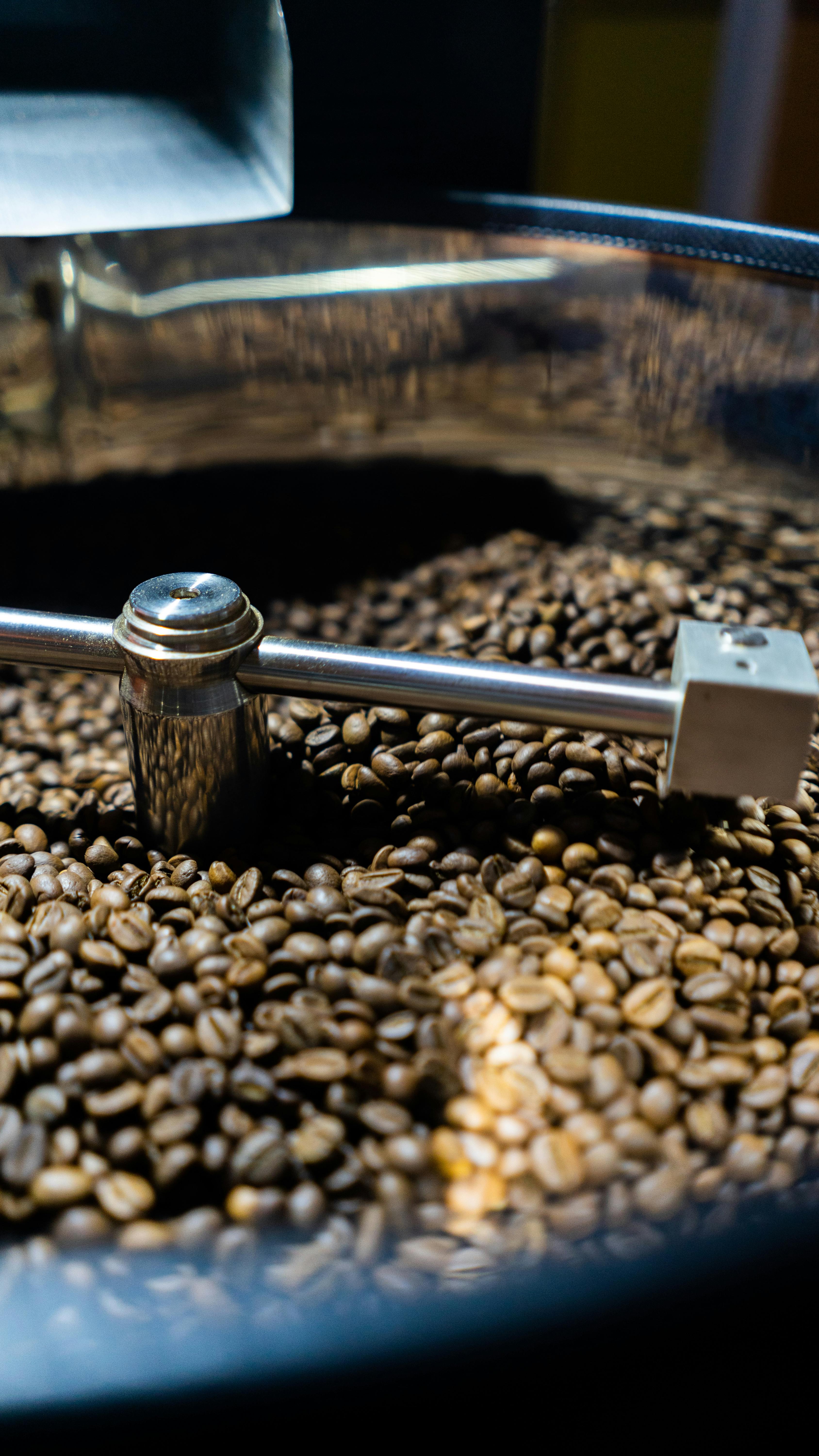 Coffee Beans in Roasting Machine