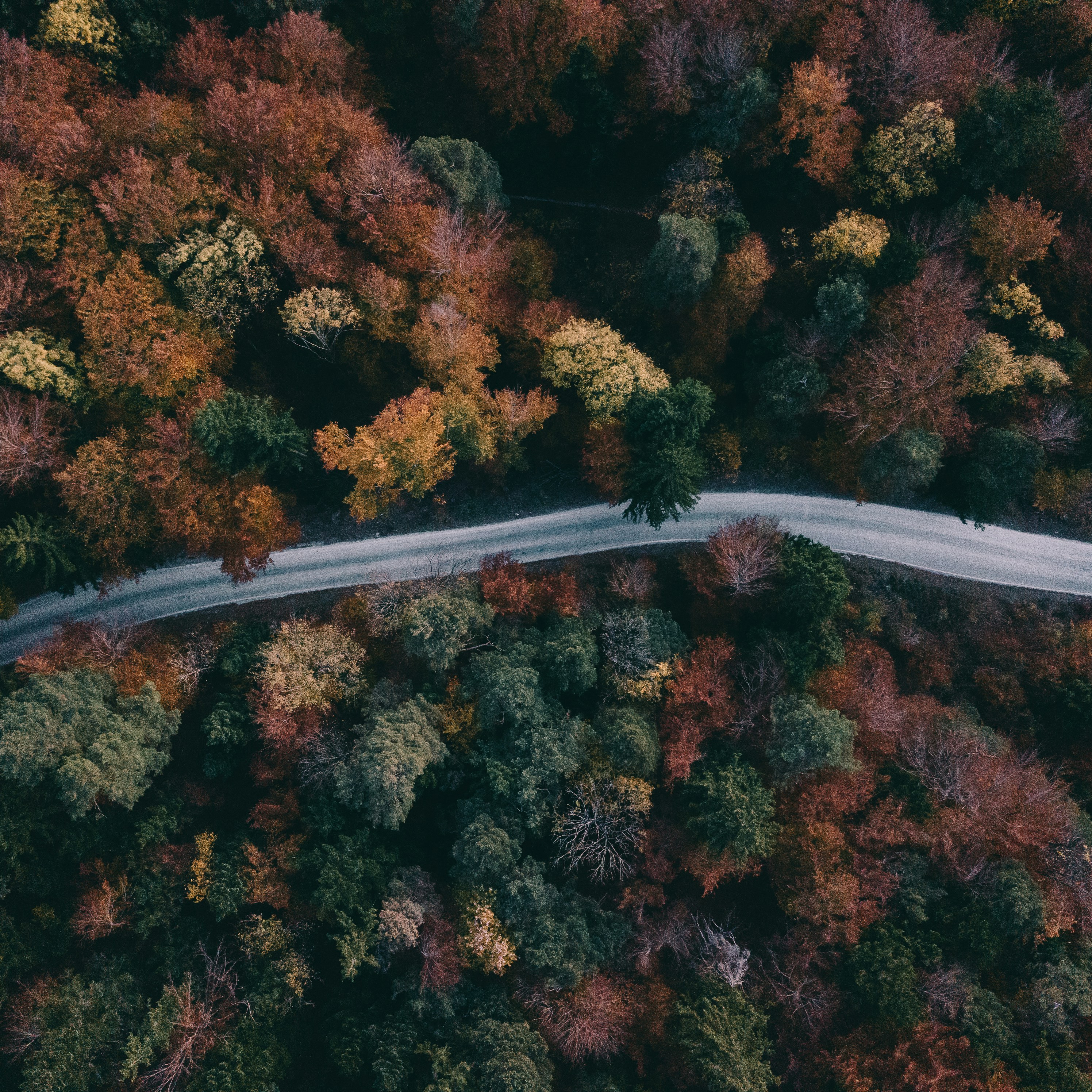Aerial View of Autumn Forest Road