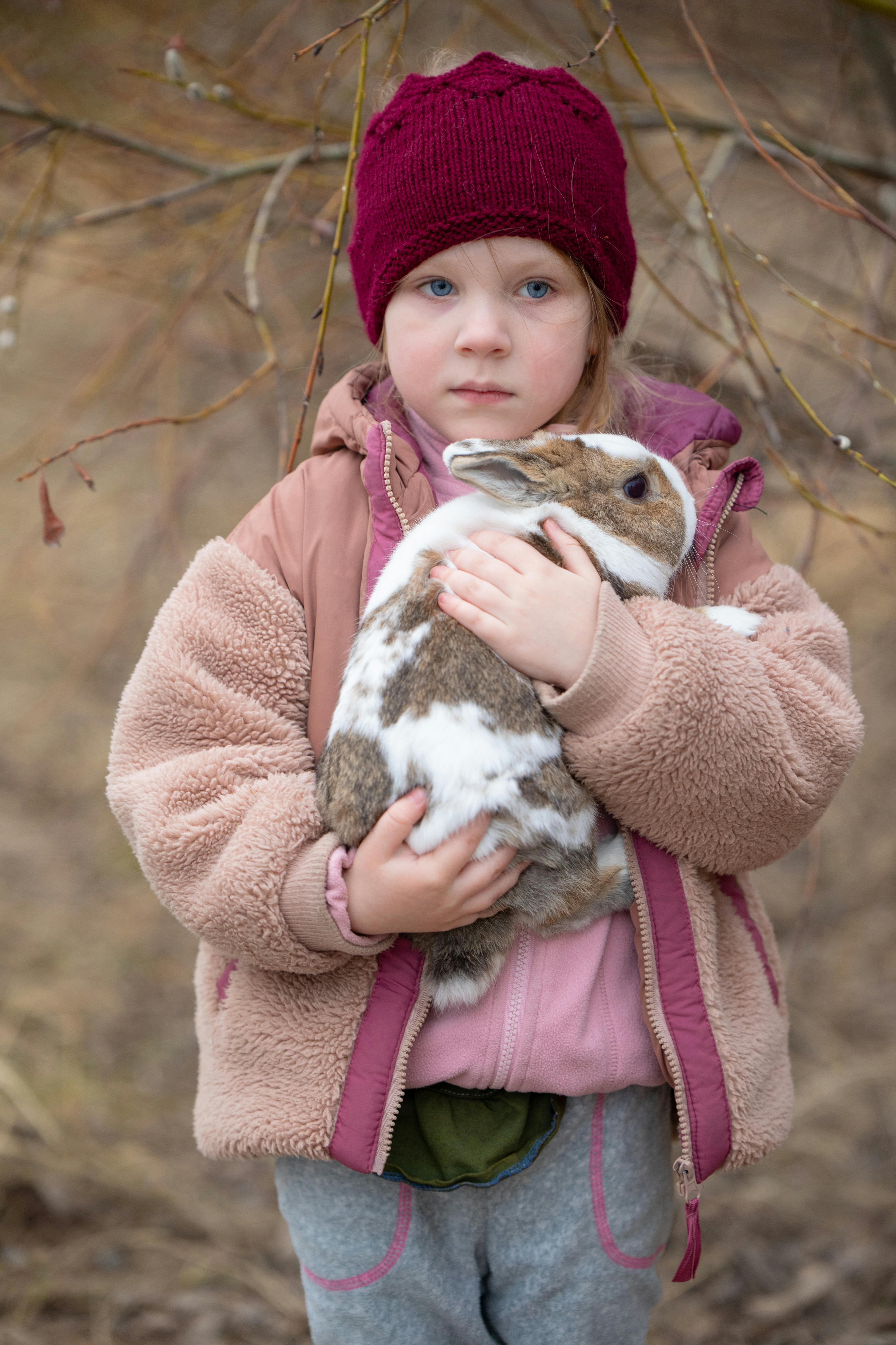 Image 1510710 — Pets