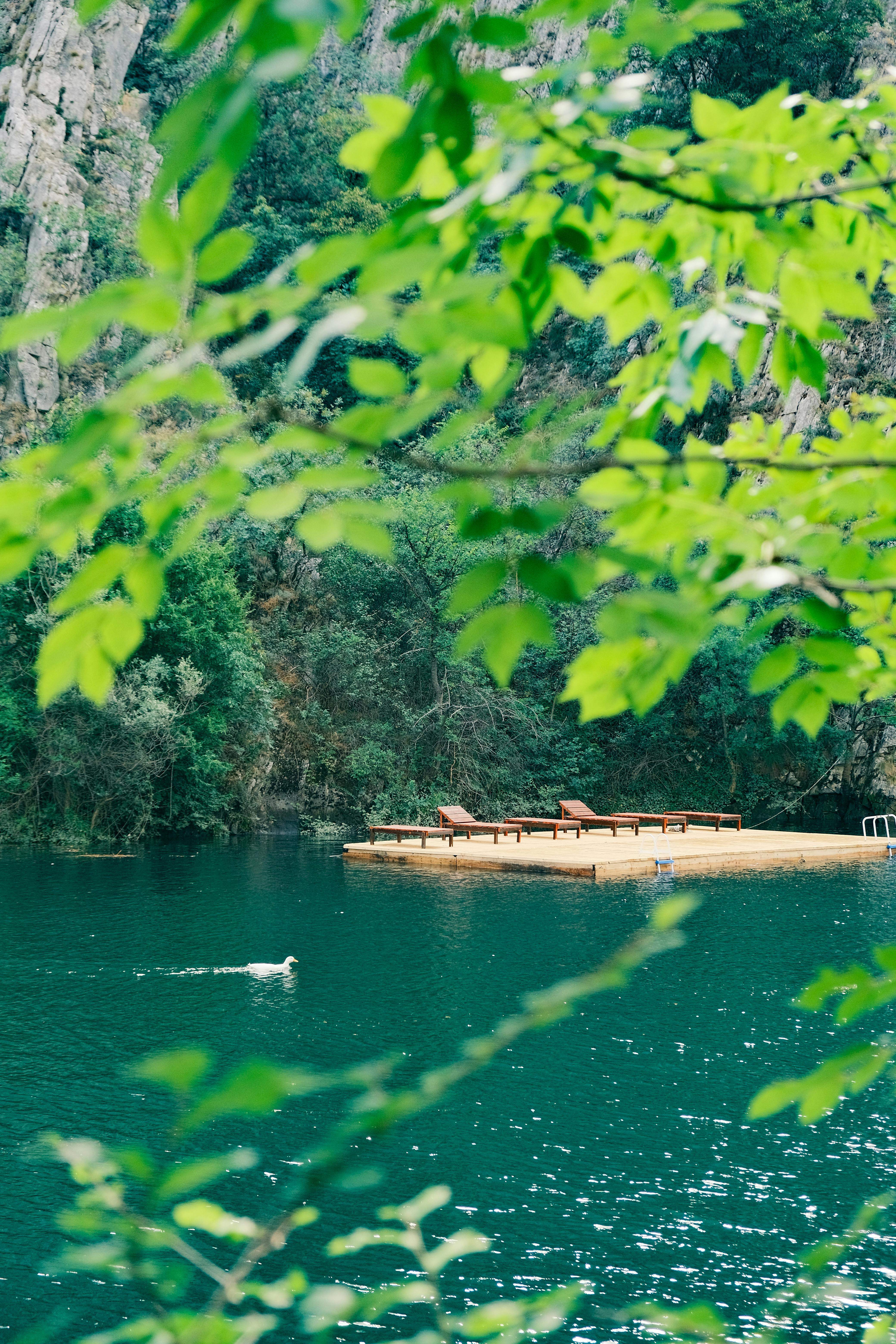 Landscapes