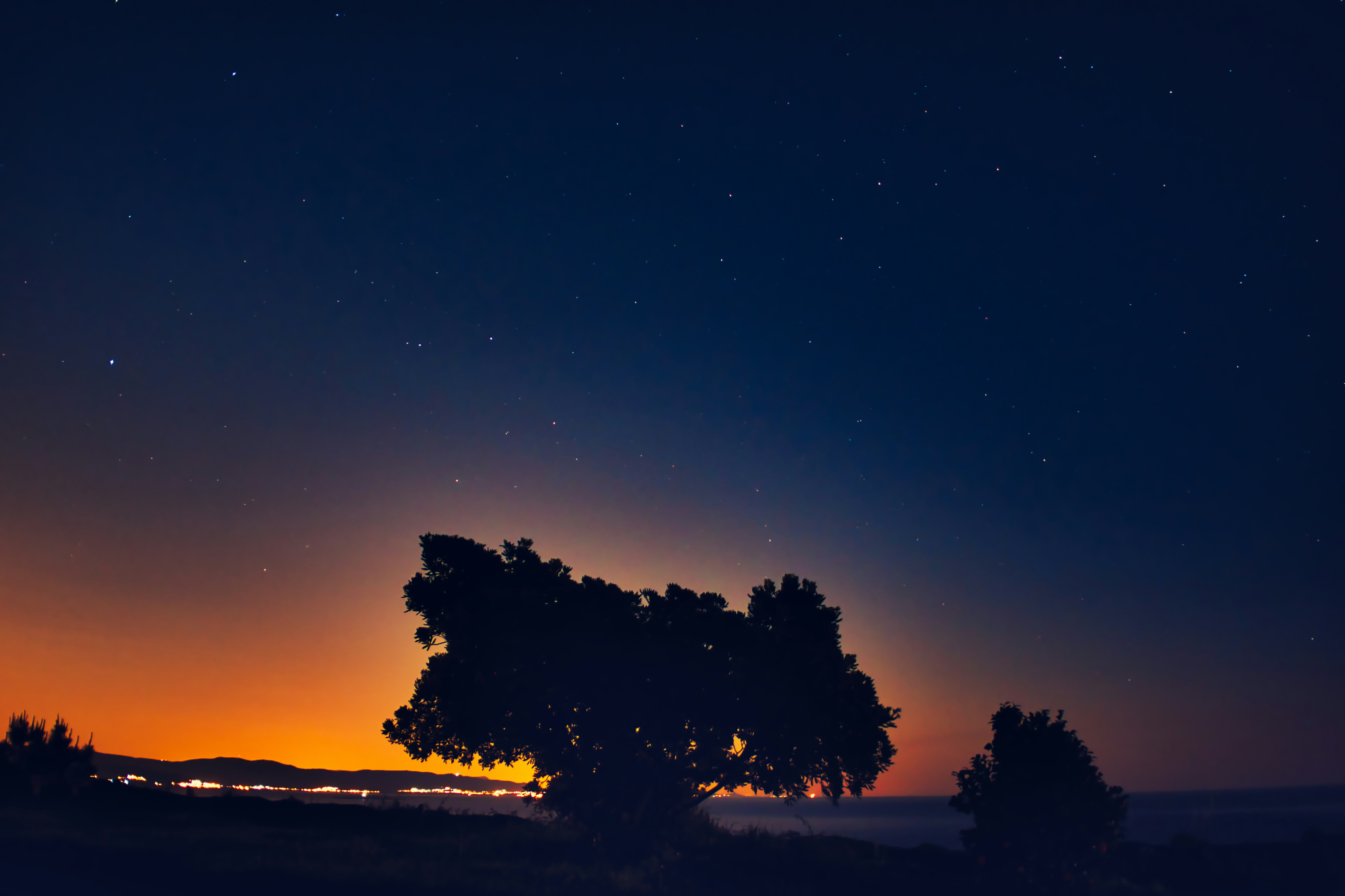 Starry Night Coastal Landscape
