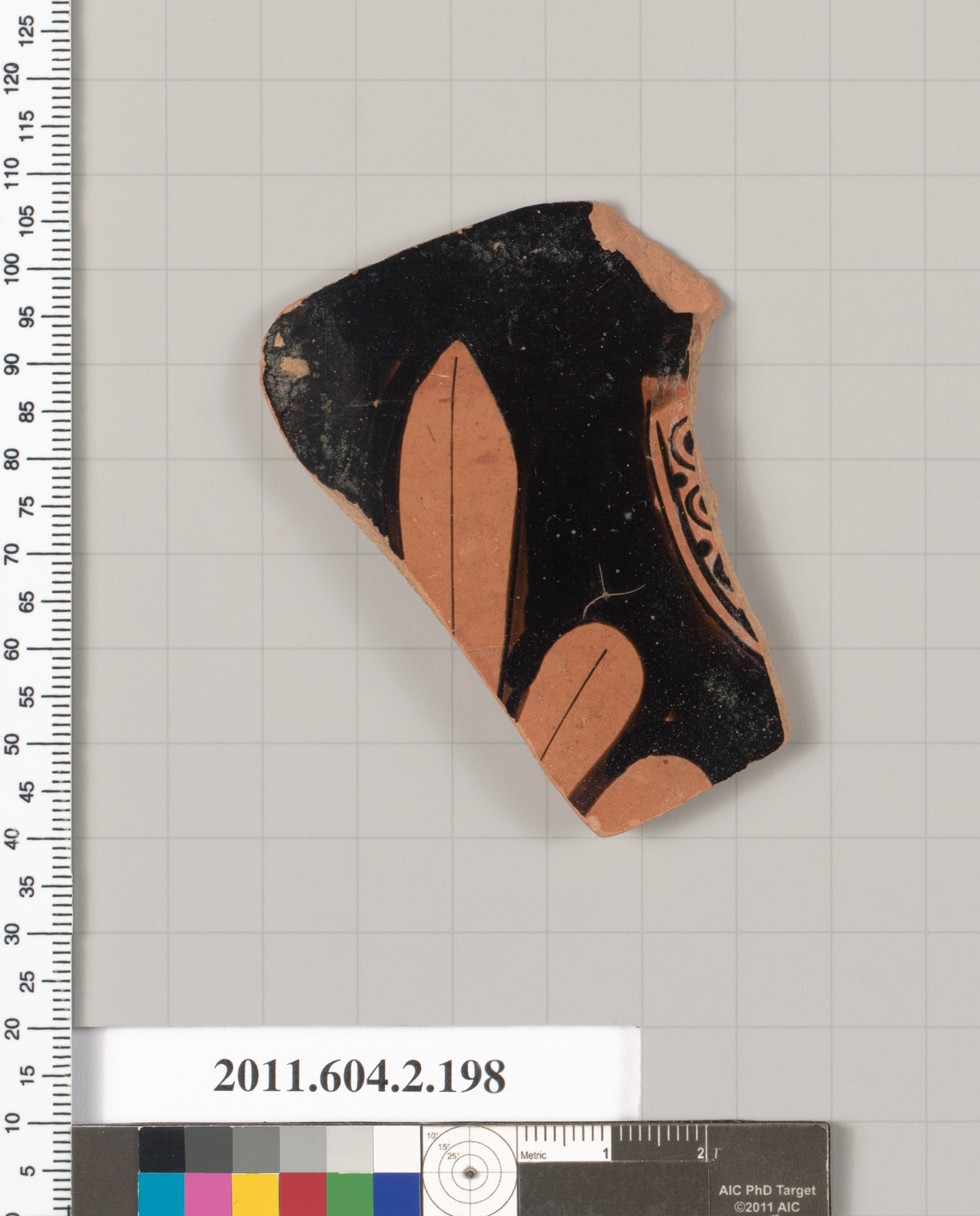 Ancient Pottery Fragment — History