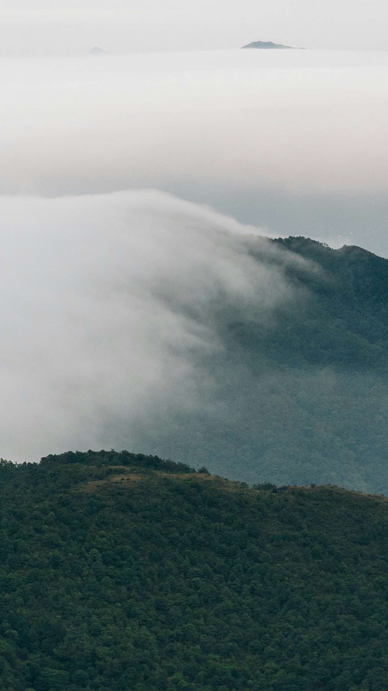 Landscapes