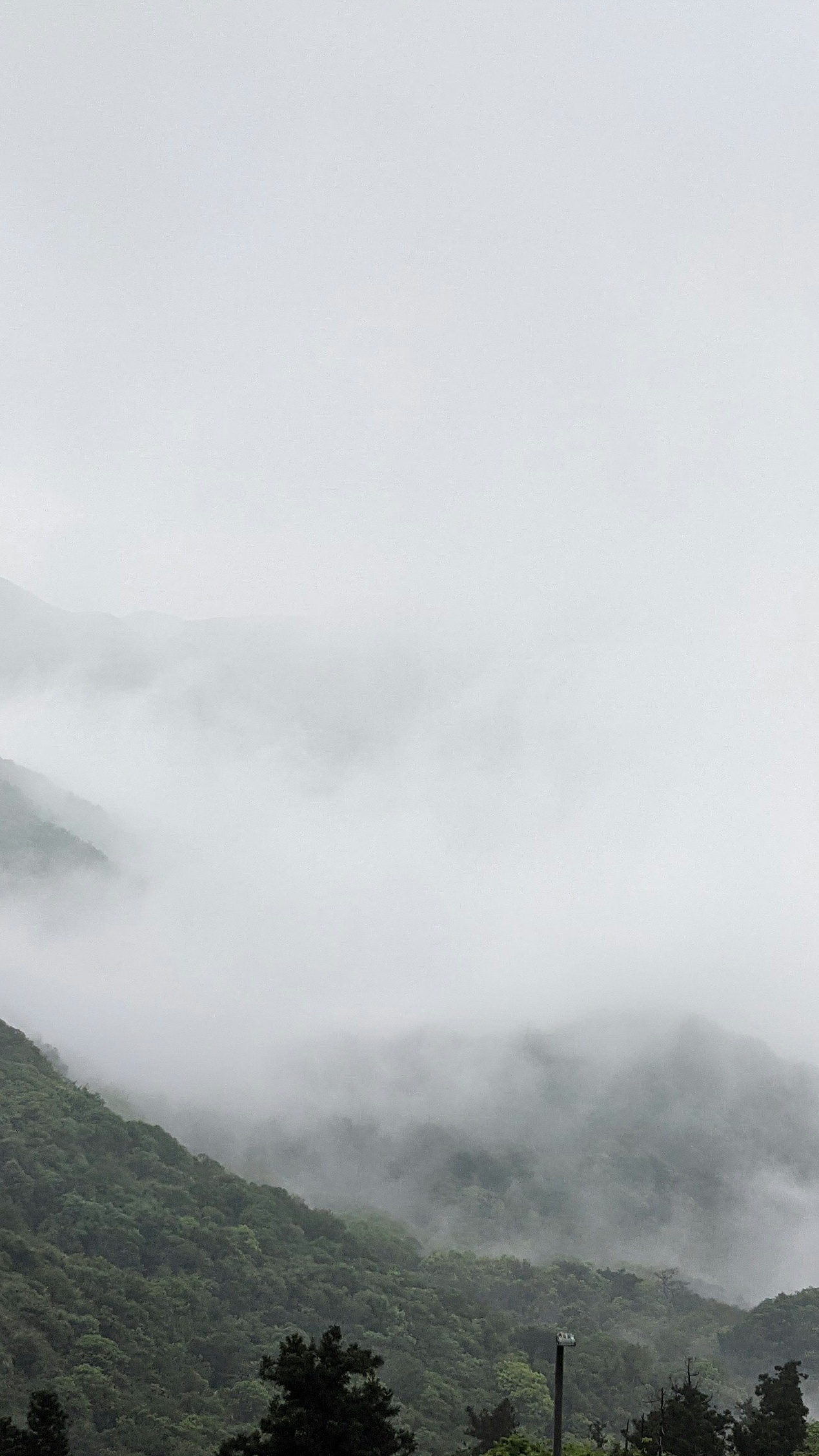 Landscapes