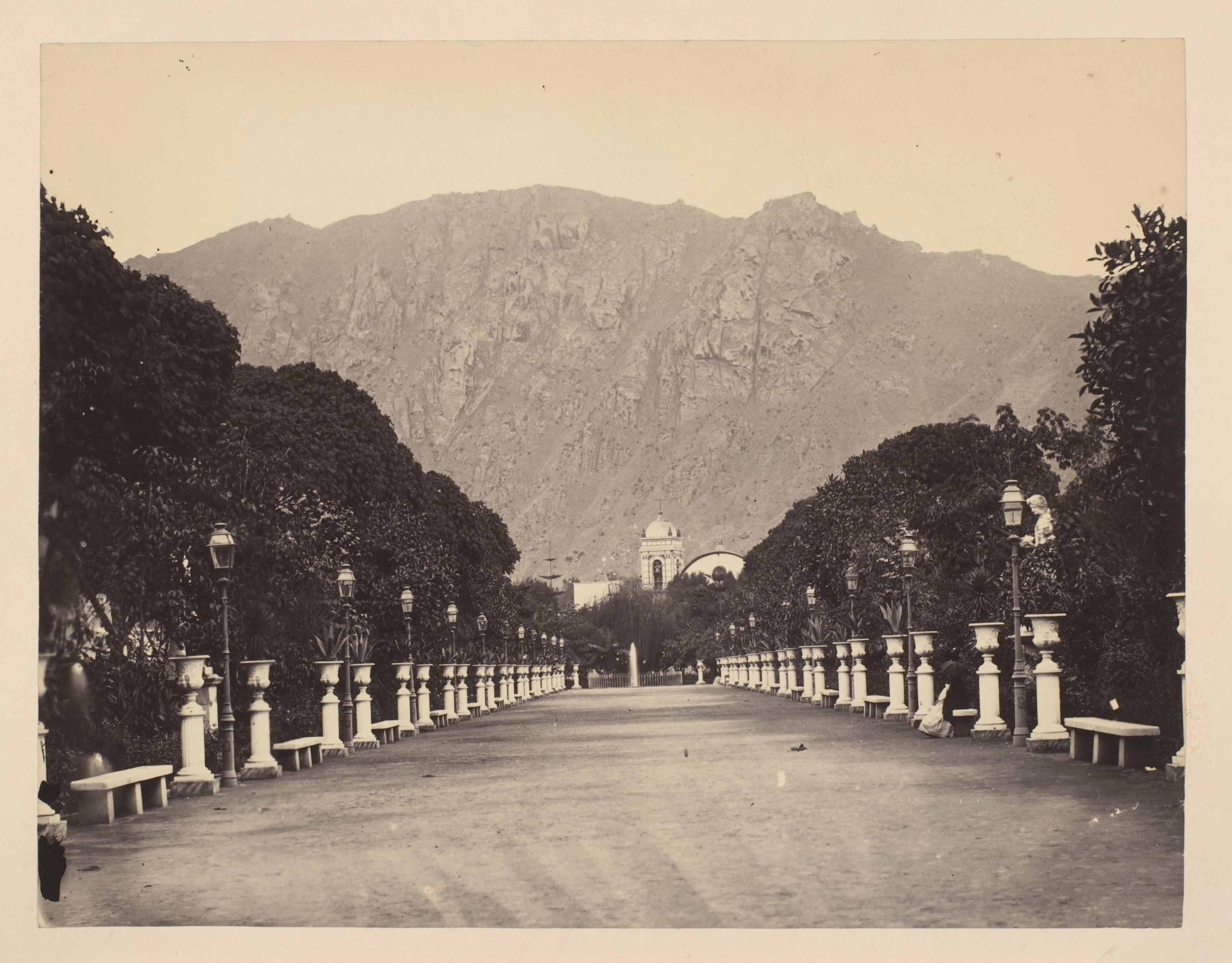 Tree-Lined Park Avenue with Mountain View