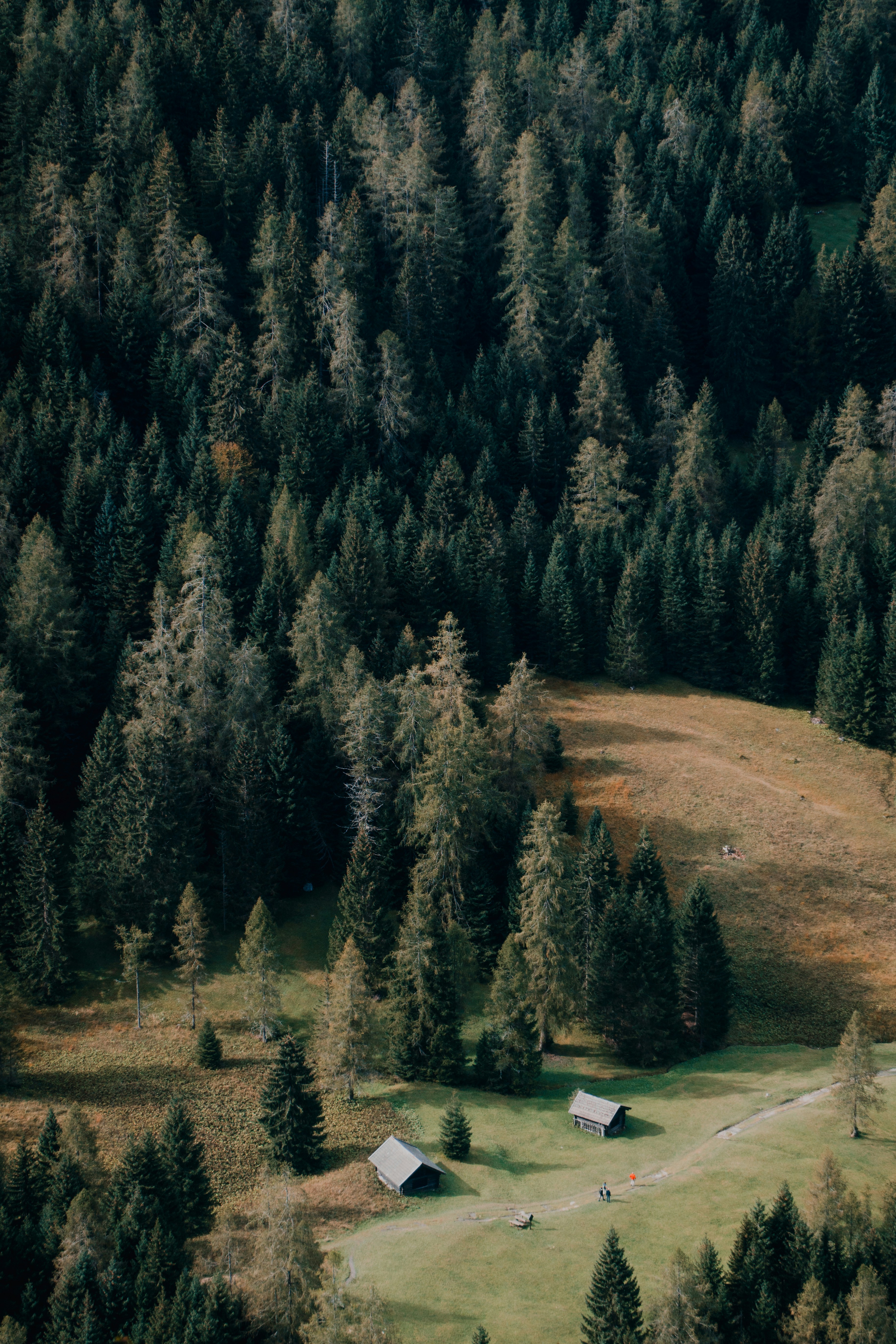 Aerial View of Forest Mountain Cabins