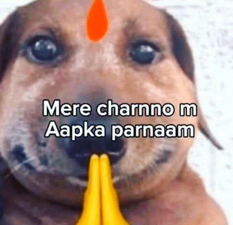 Guru Dog Hindi Meme