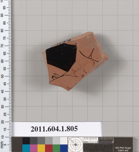 Ancient Pottery Shard