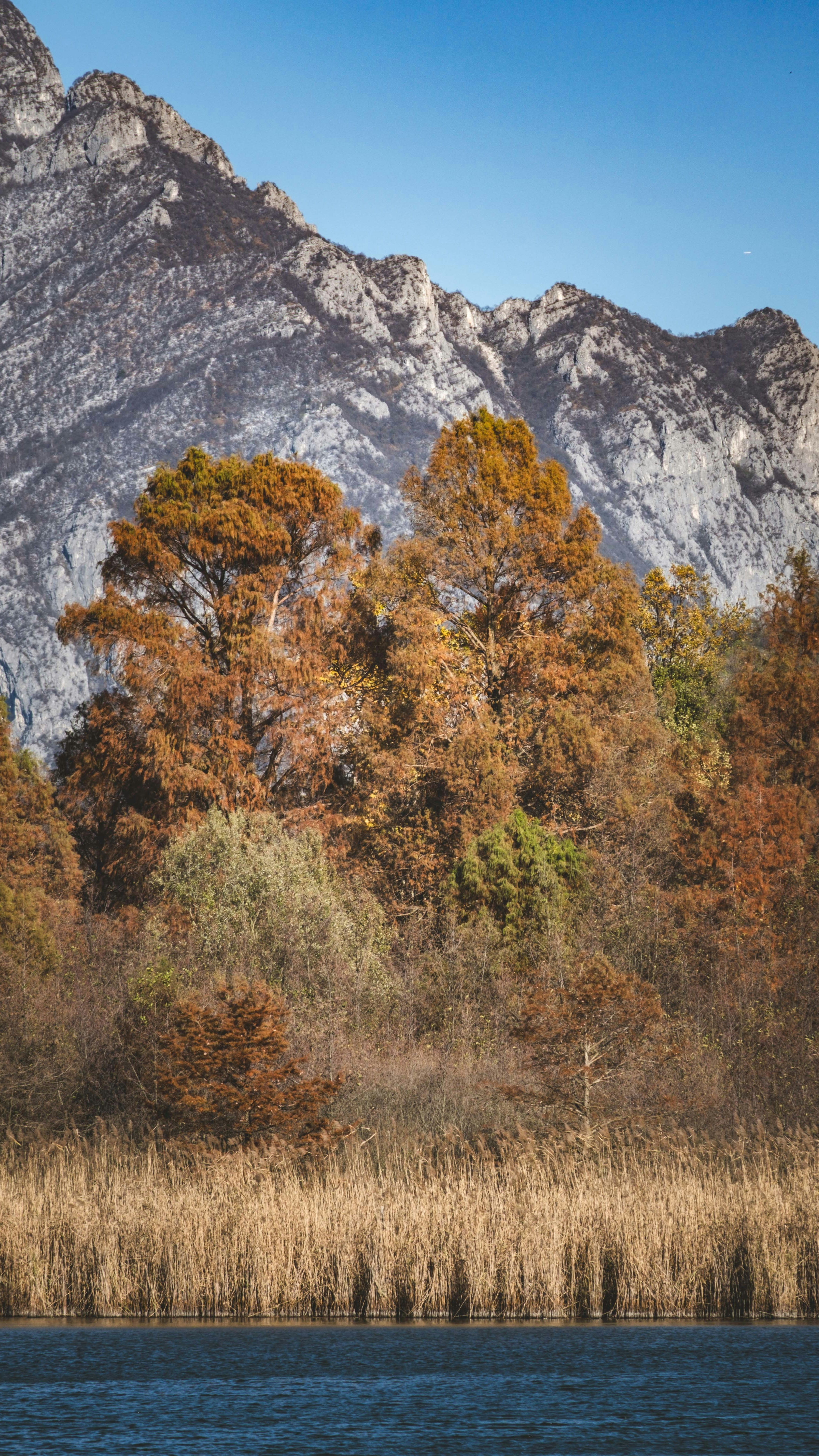 Autumn Lakeside Mountain Landscape