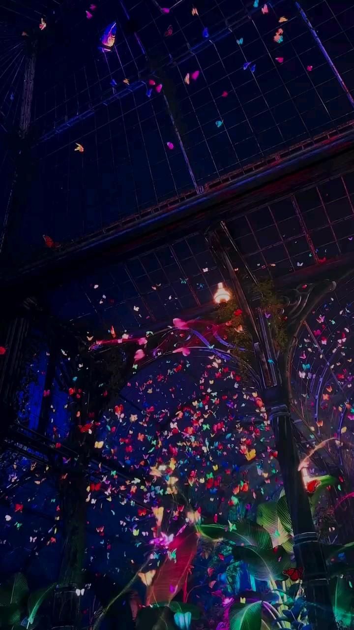 Wallpapers