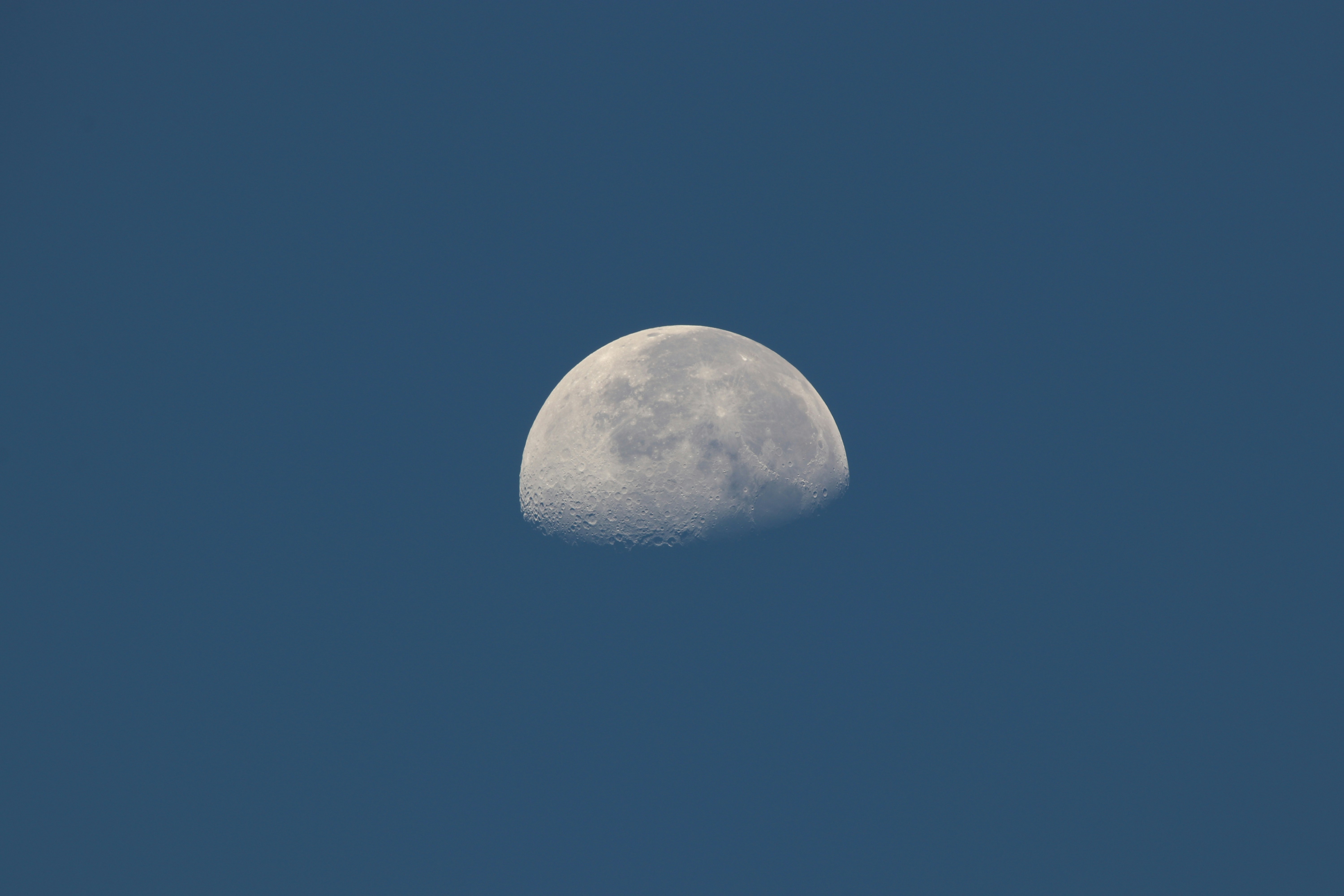 First Quarter Moon in Daytime Sky
