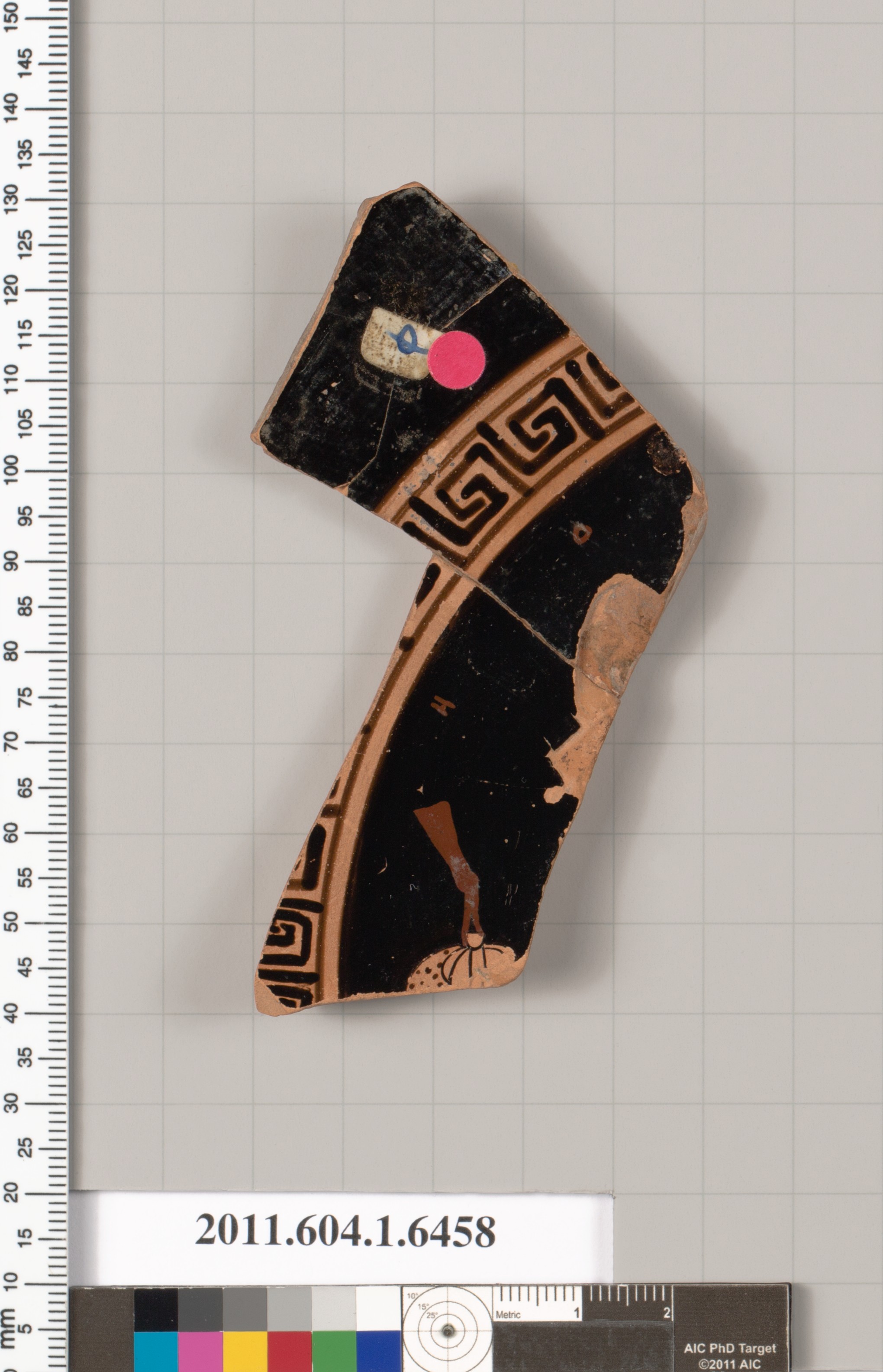 Ancient Pottery Fragment