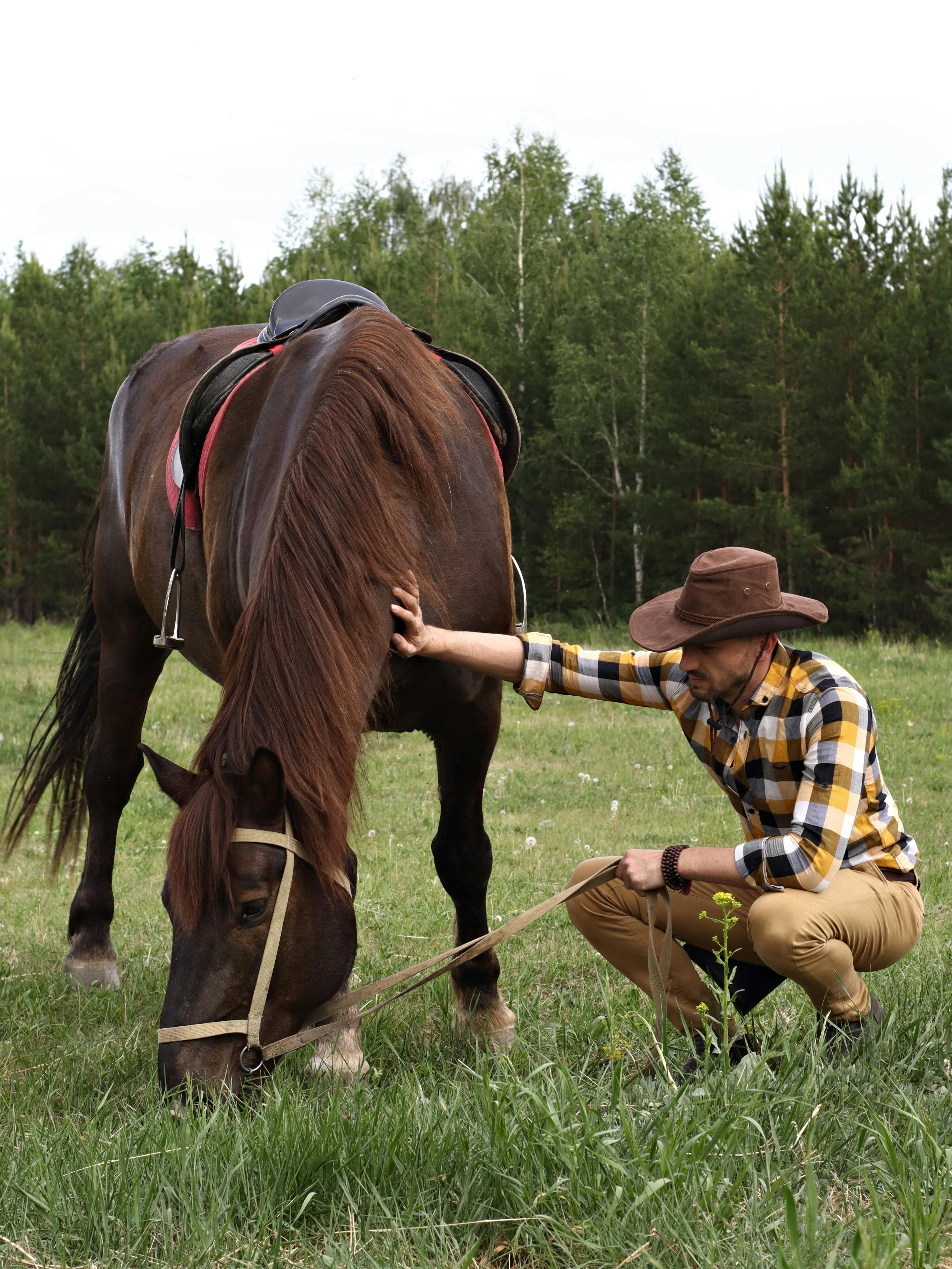 Man Petting Grazing Horse in Meadow