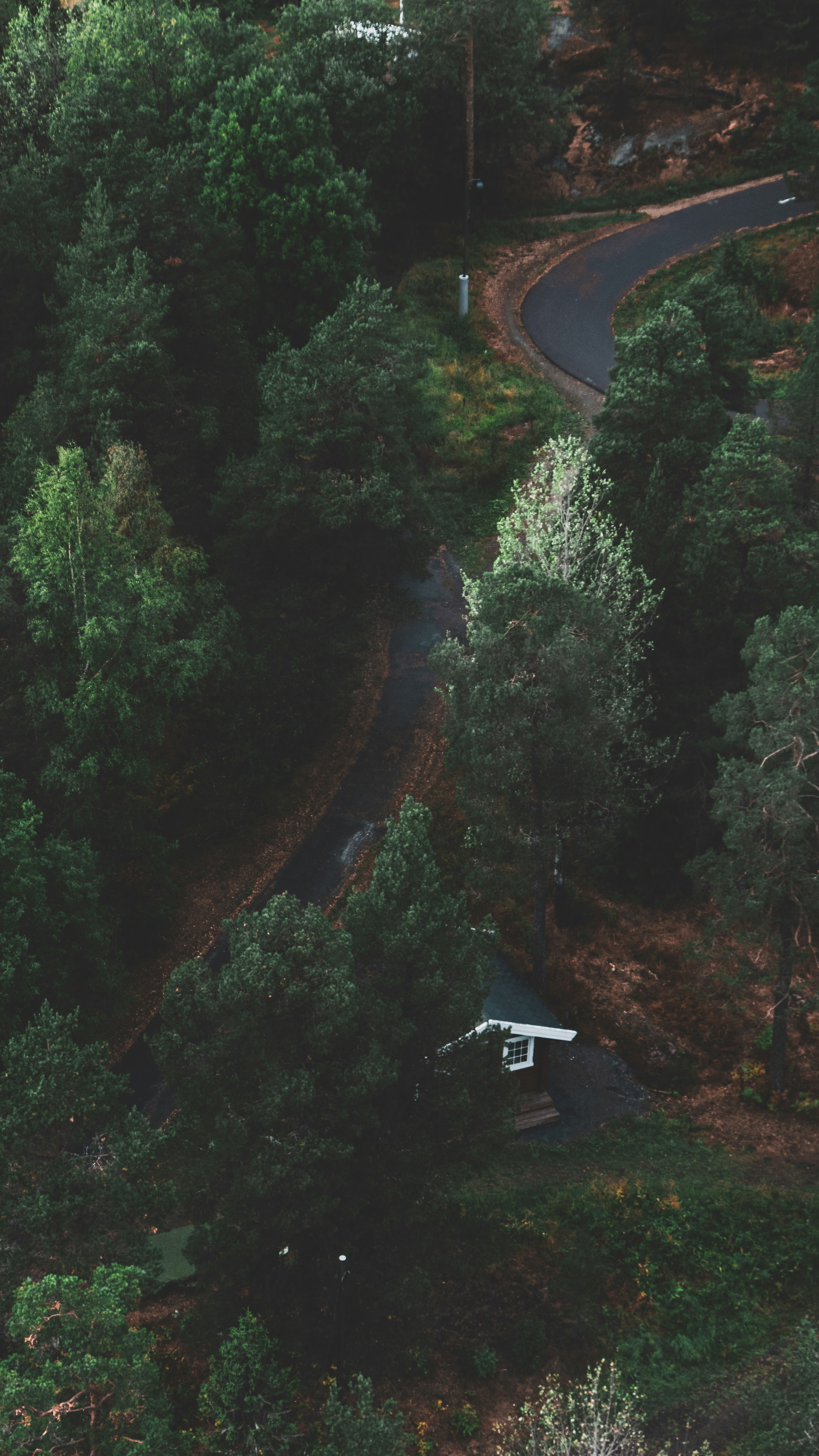 Wallpapers