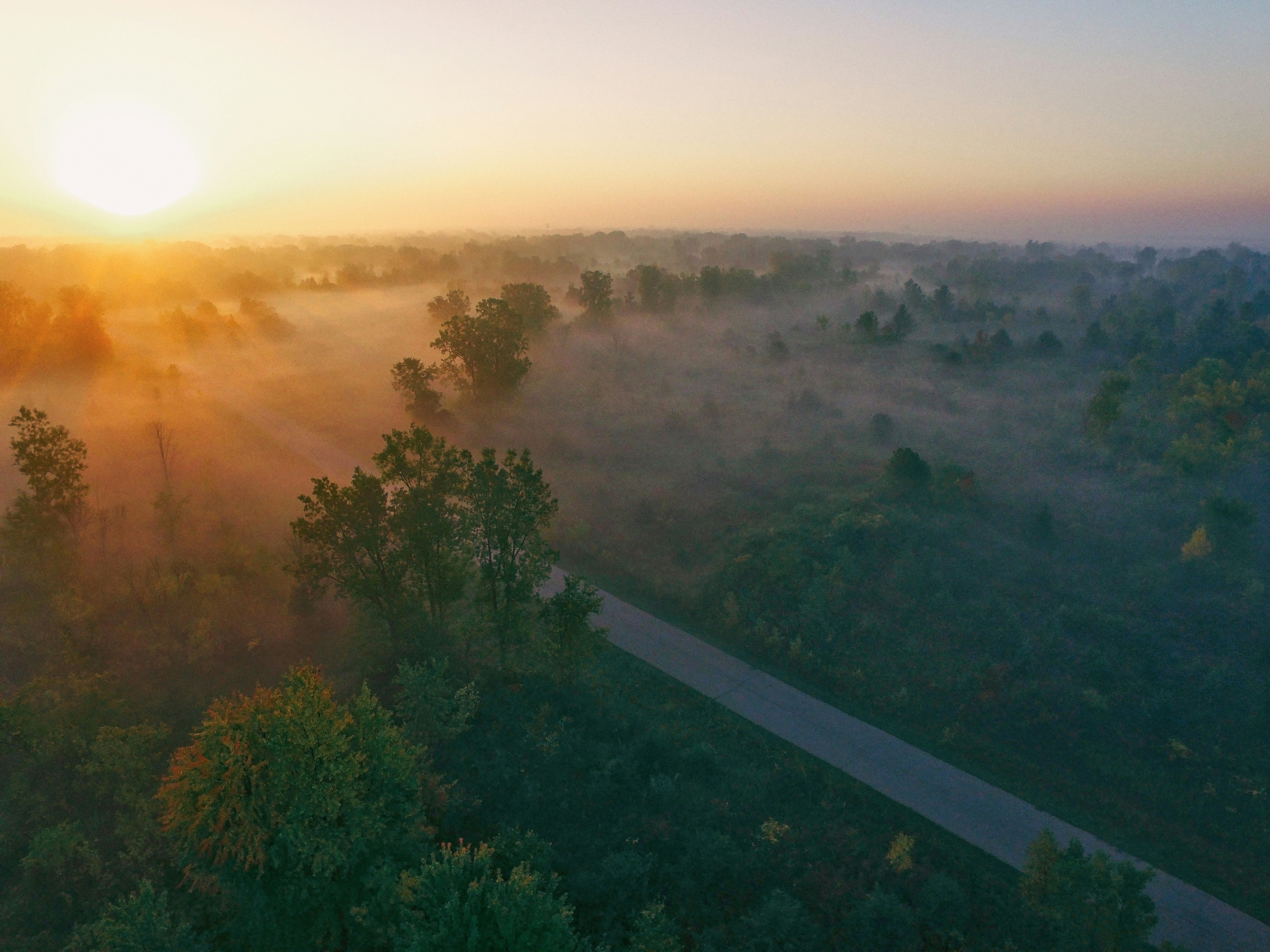 Foggy Forest Sunrise Aerial View