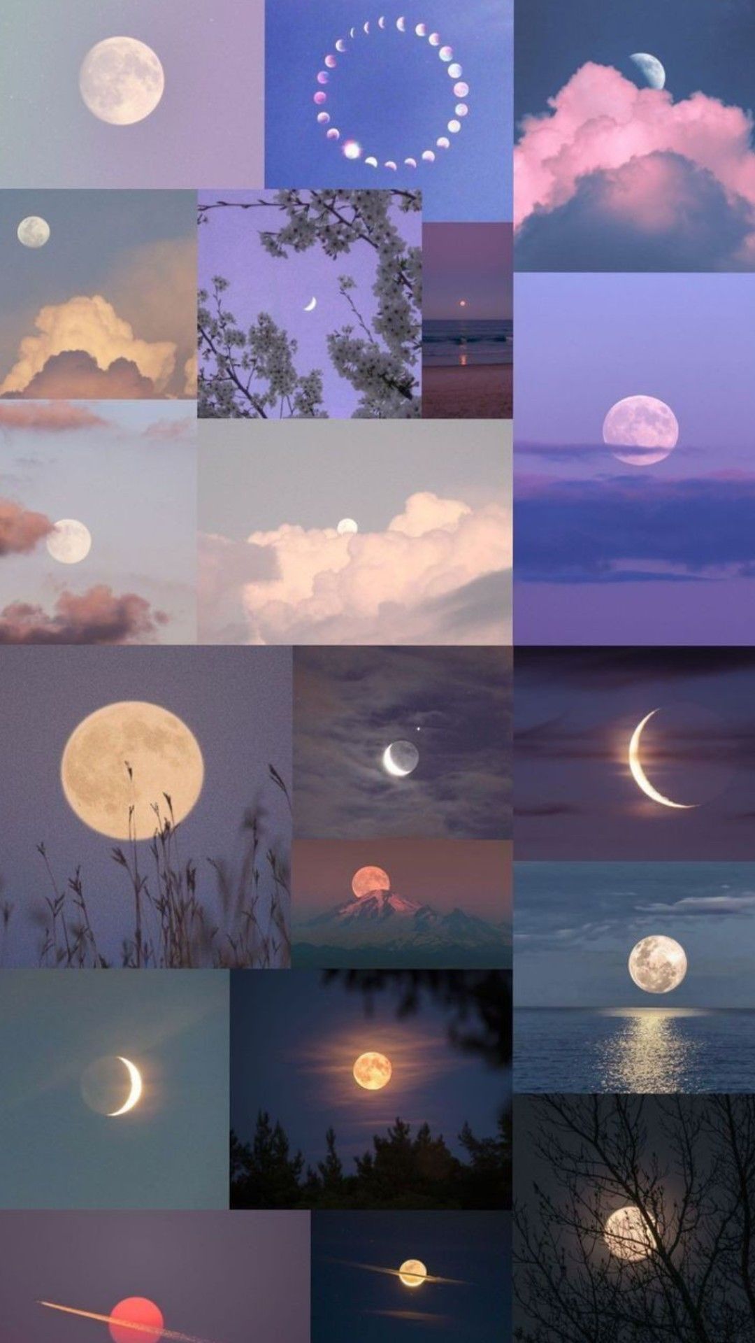 Wallpapers
