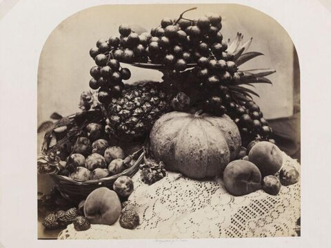 Still Life of Assorted Fruits