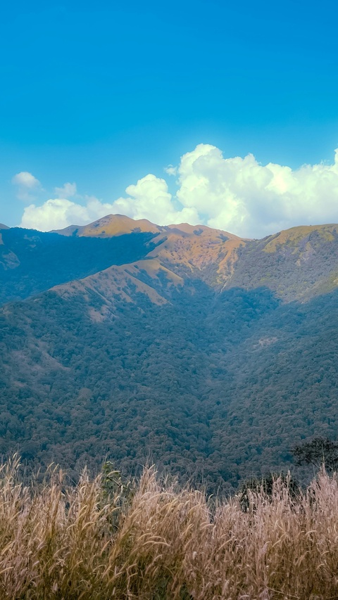 Layered Mountain Landscape on Clear Day