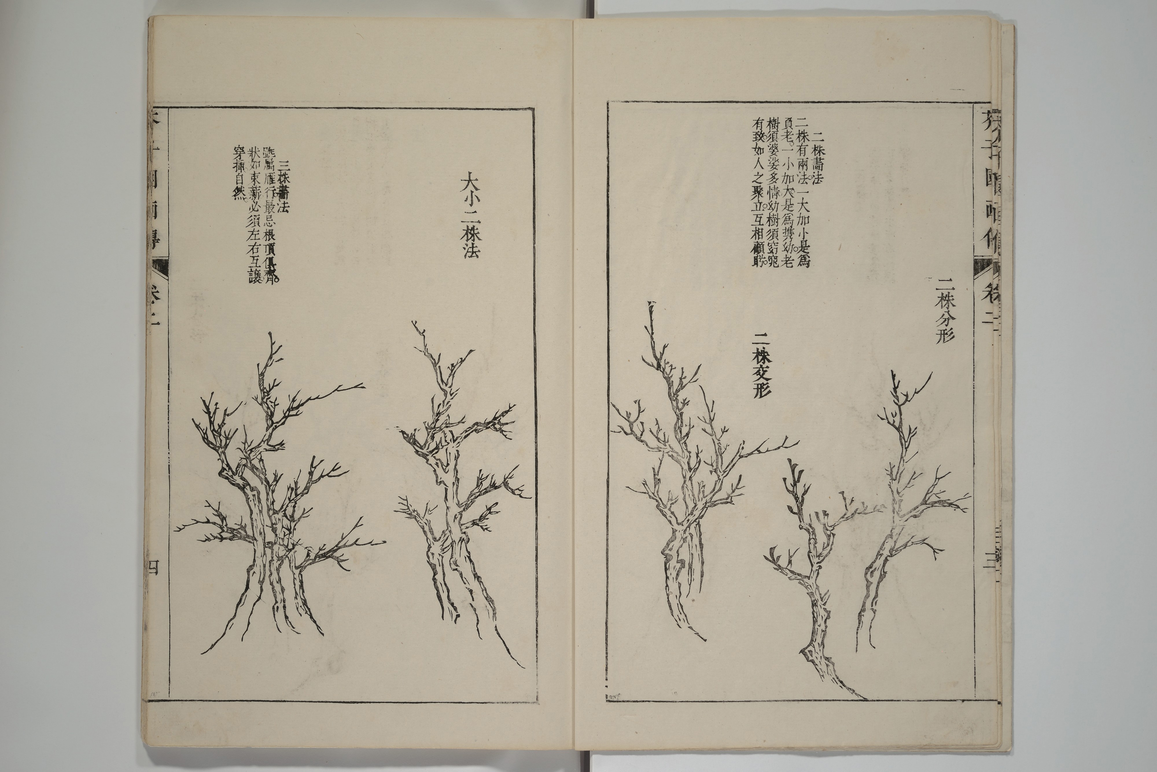 Ancient Chinese Painting Tree Technique Illustrations