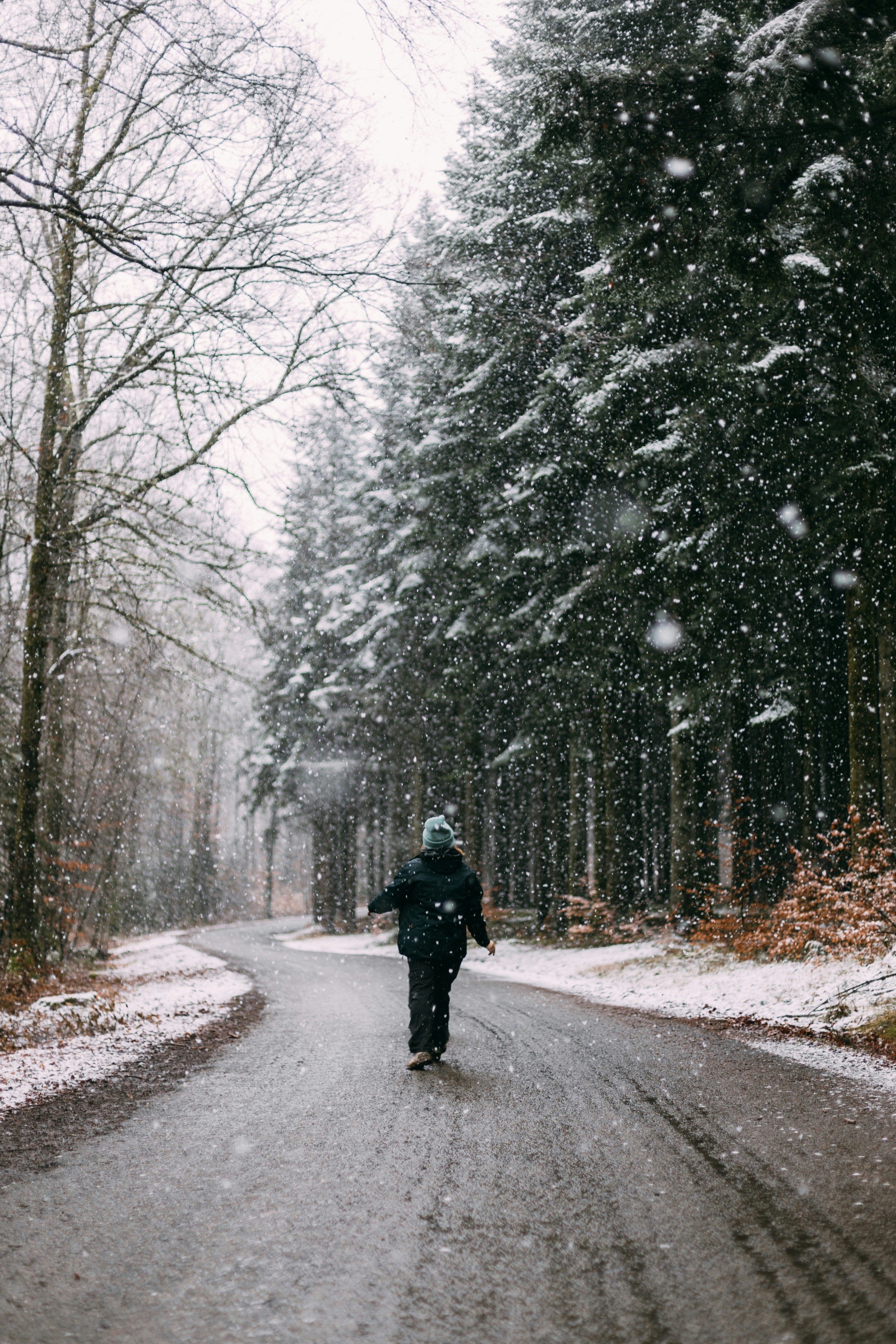 Person Walking on Snowy Forest Road