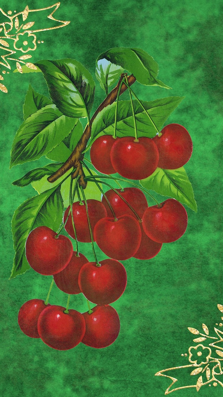 Wallpapers