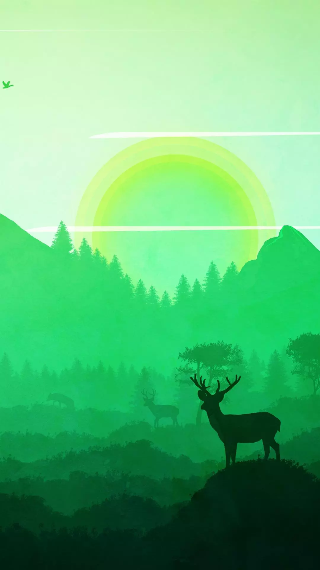 Wallpapers