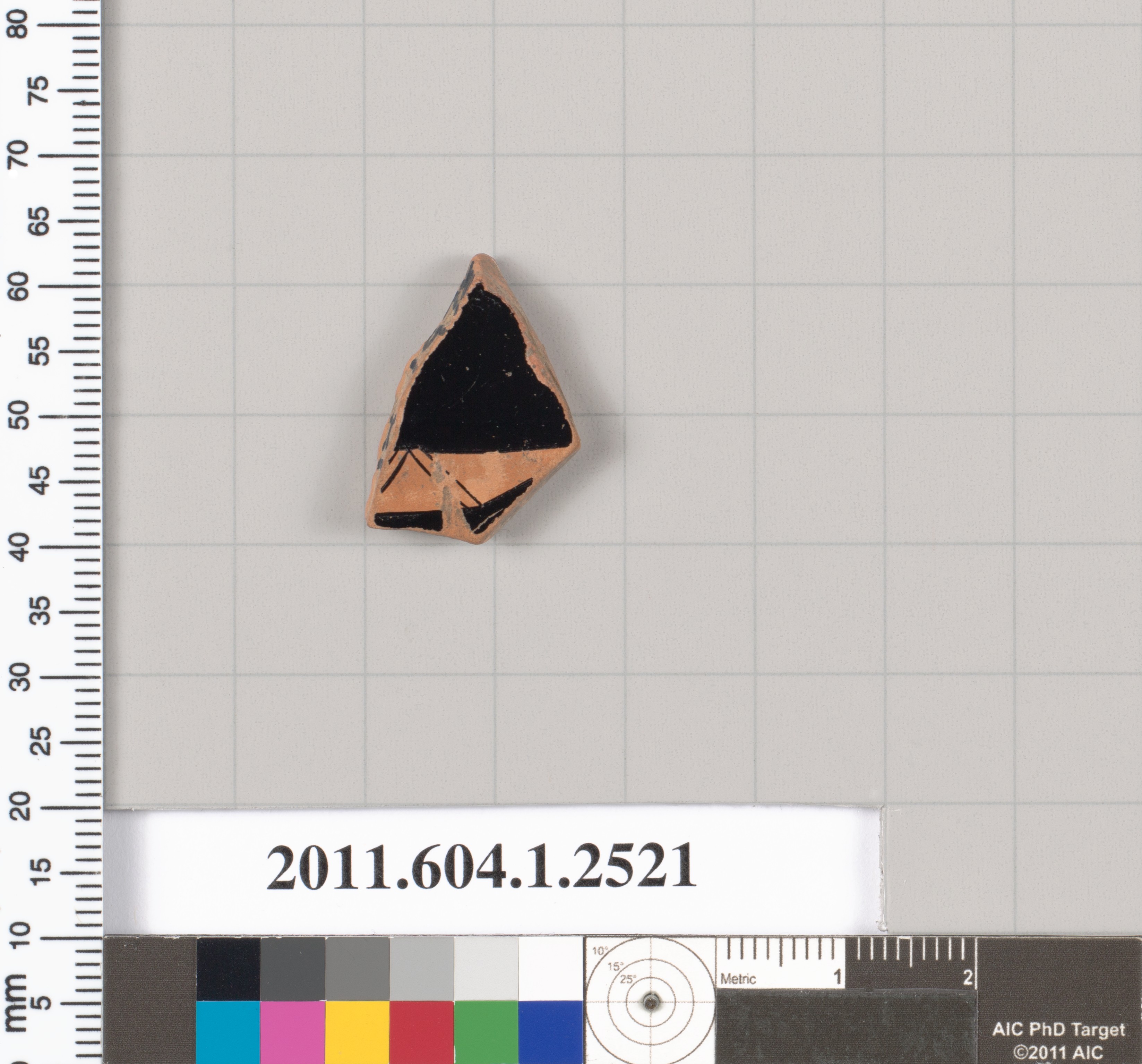 Archaeological Pottery Shard Specimen