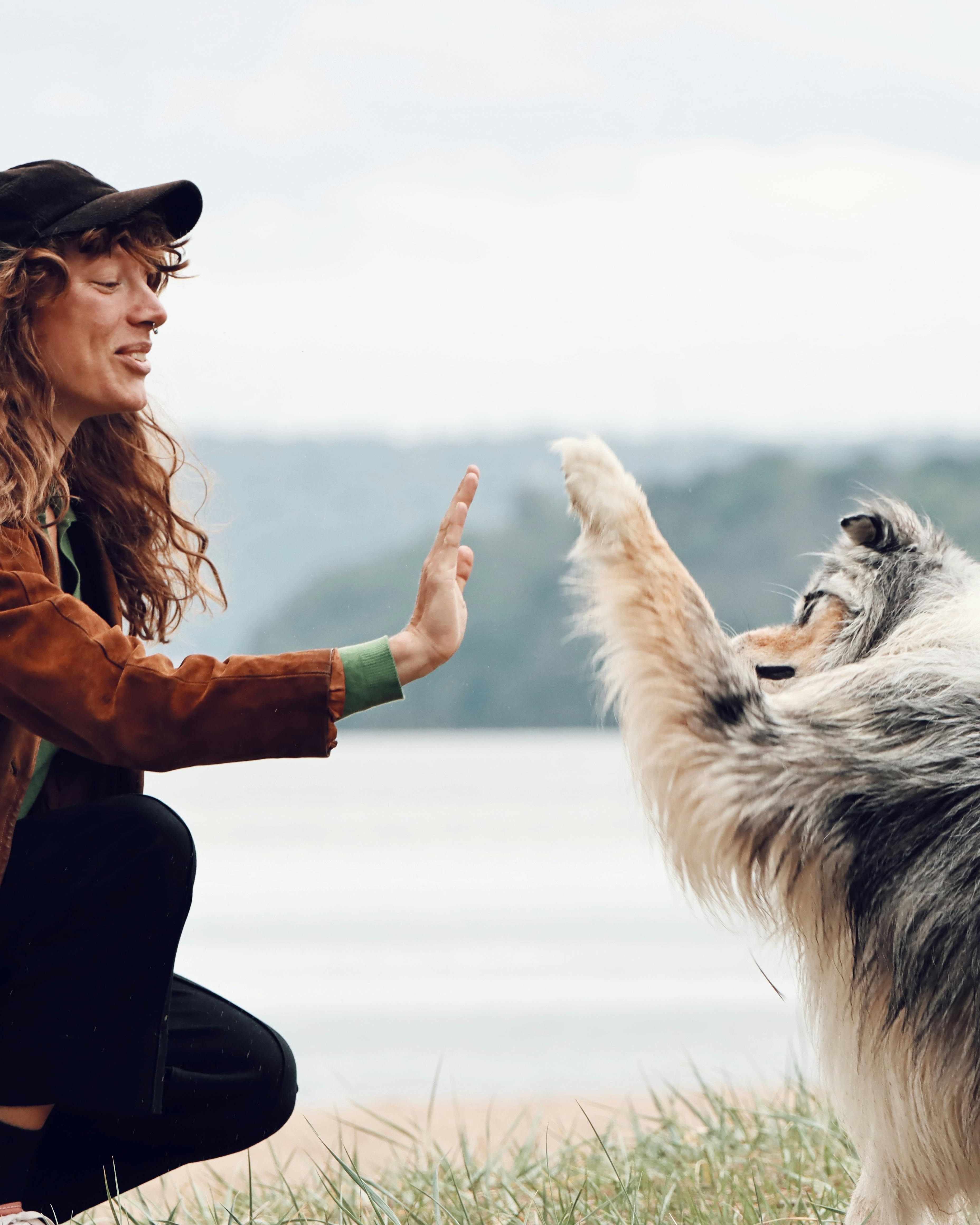 Woman High-fiving Dog by Lakeside
