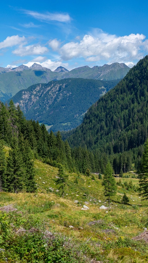 Alpine Mountain Forest Valley Landscape