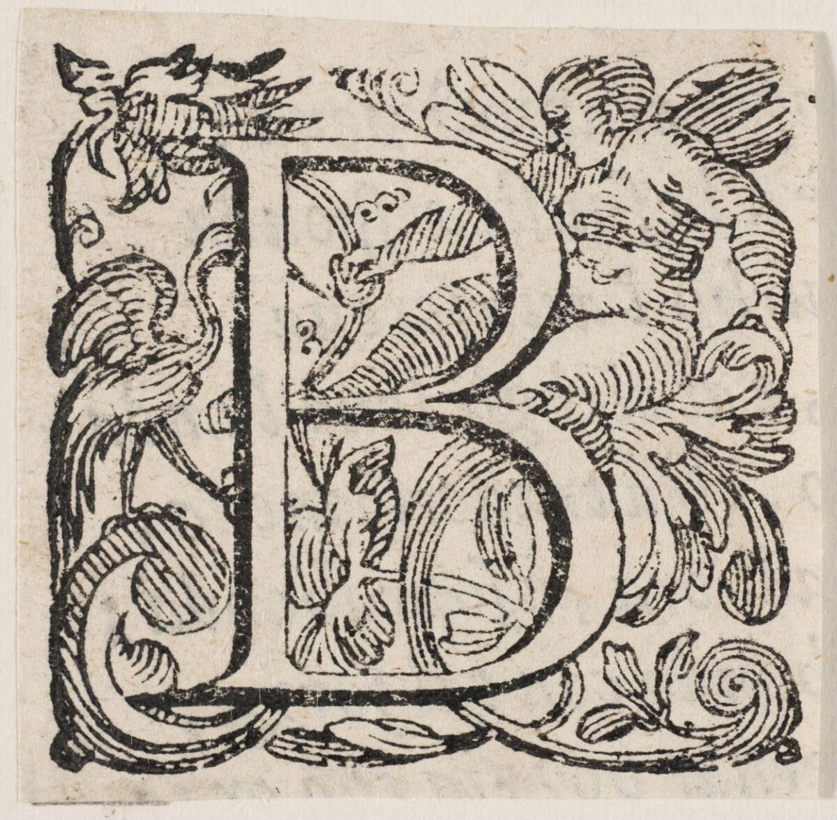 Decorated Initial Letter B Woodcut
