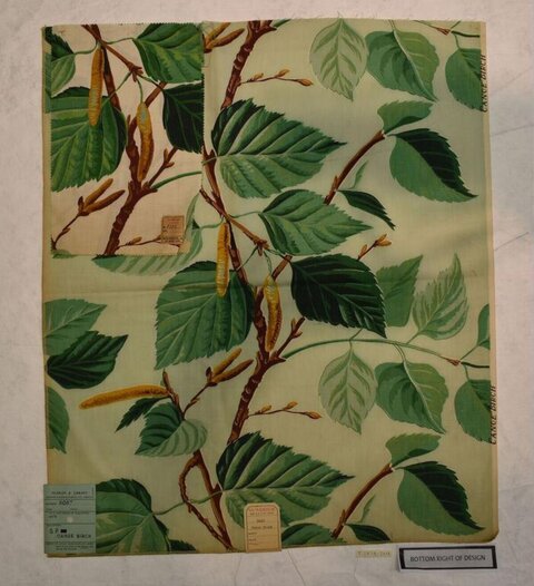 Canoe Birch Fabric Sample