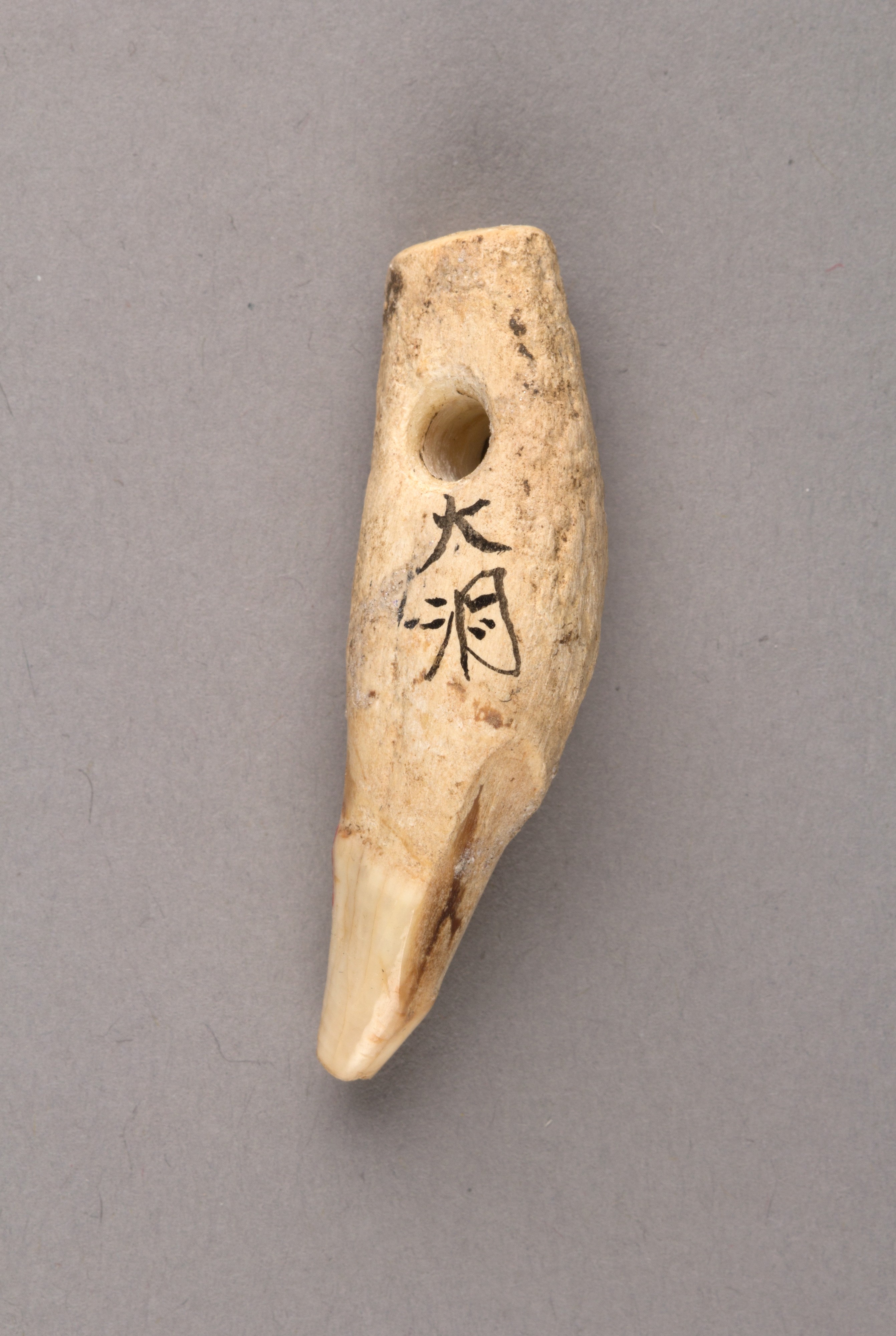 Inscribed Ancient Bone Artifact