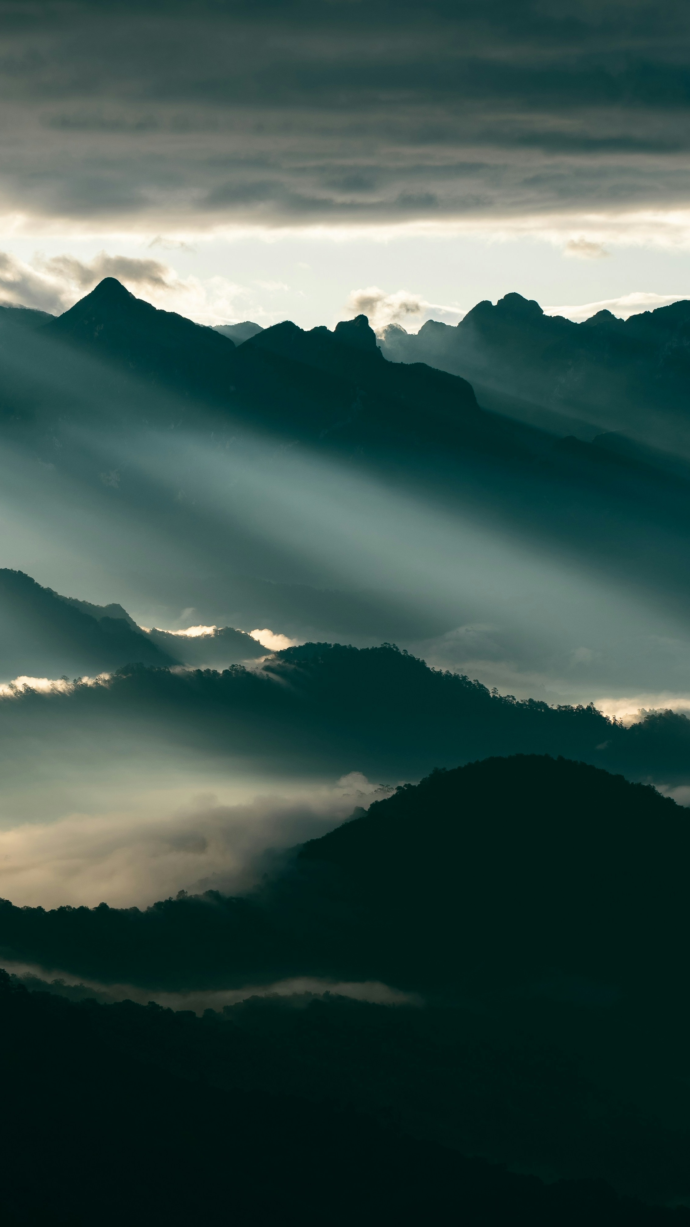 Wallpapers