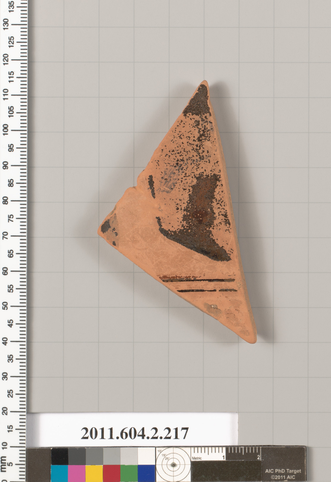 Ancient Terracotta Pottery Fragment
