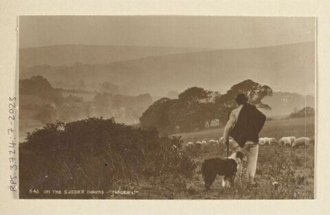 Shepherd on the Sussex Downs