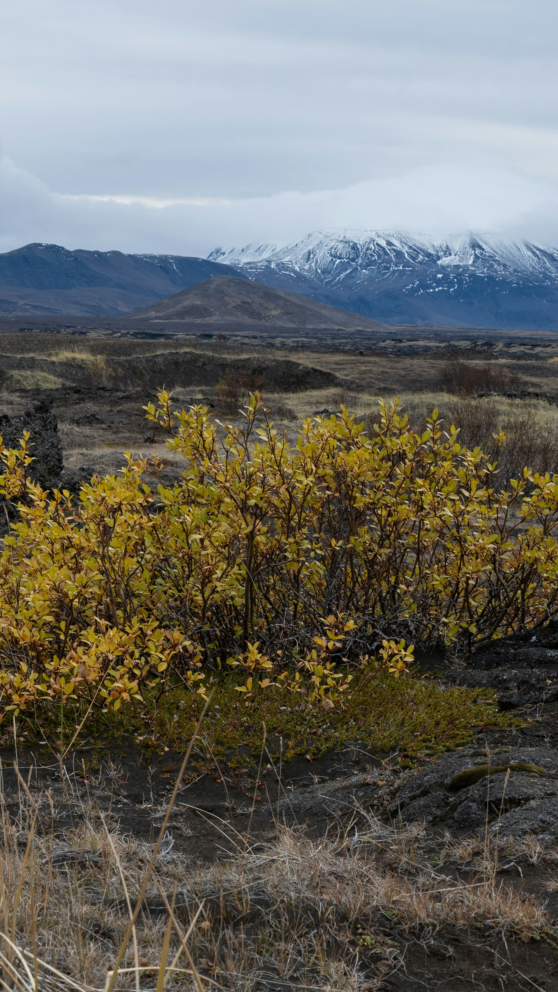 Image 1555136 — Nature