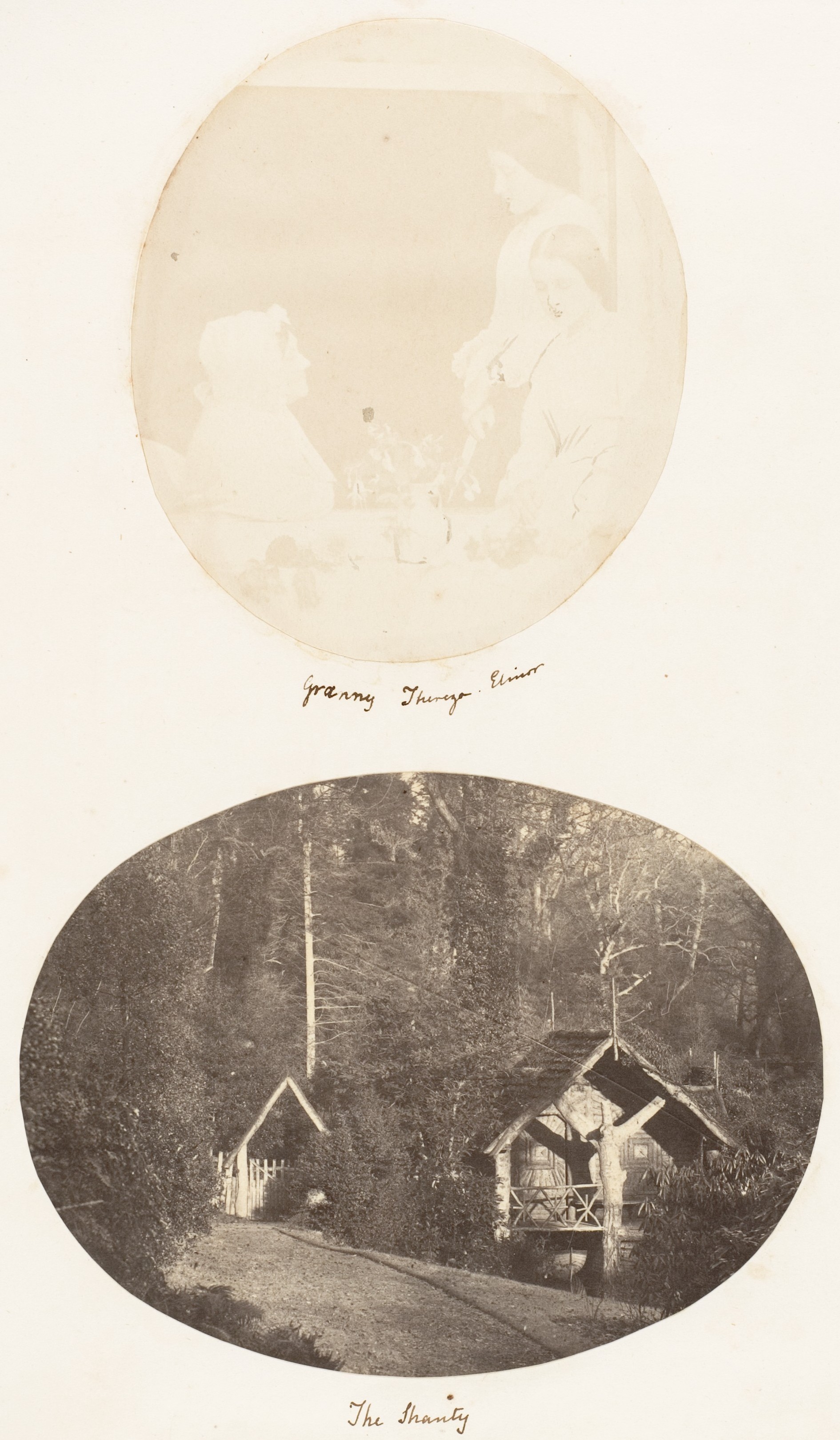 Two Antique Oval Photographic Prints
