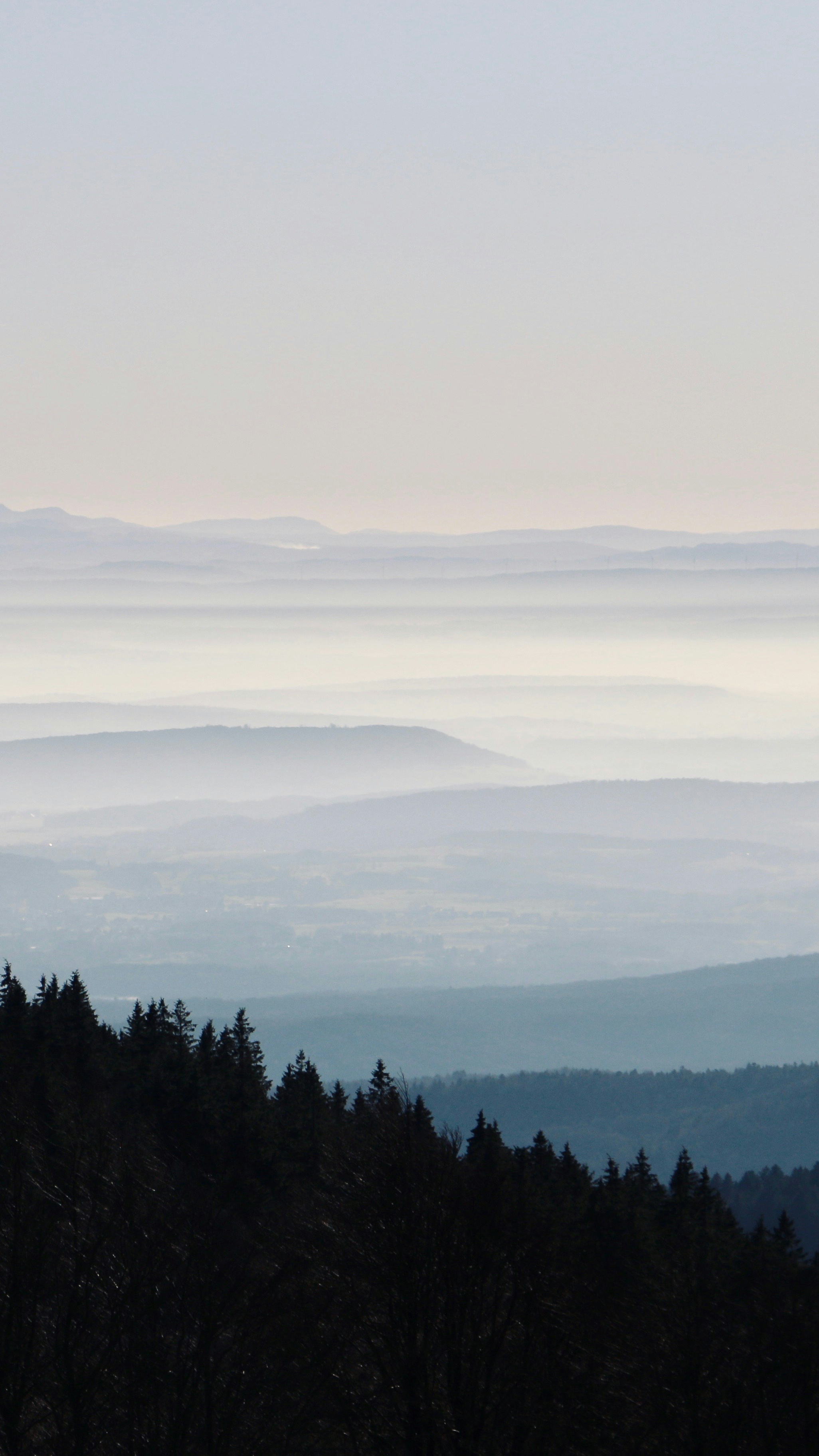 Landscapes