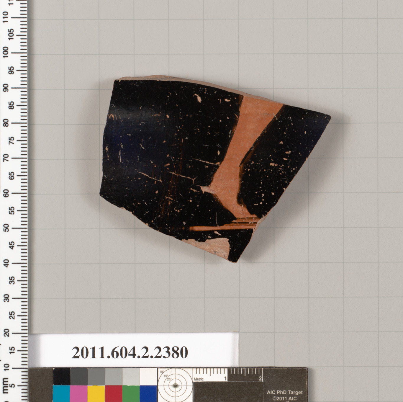 Ancient Pottery Fragment Specimen