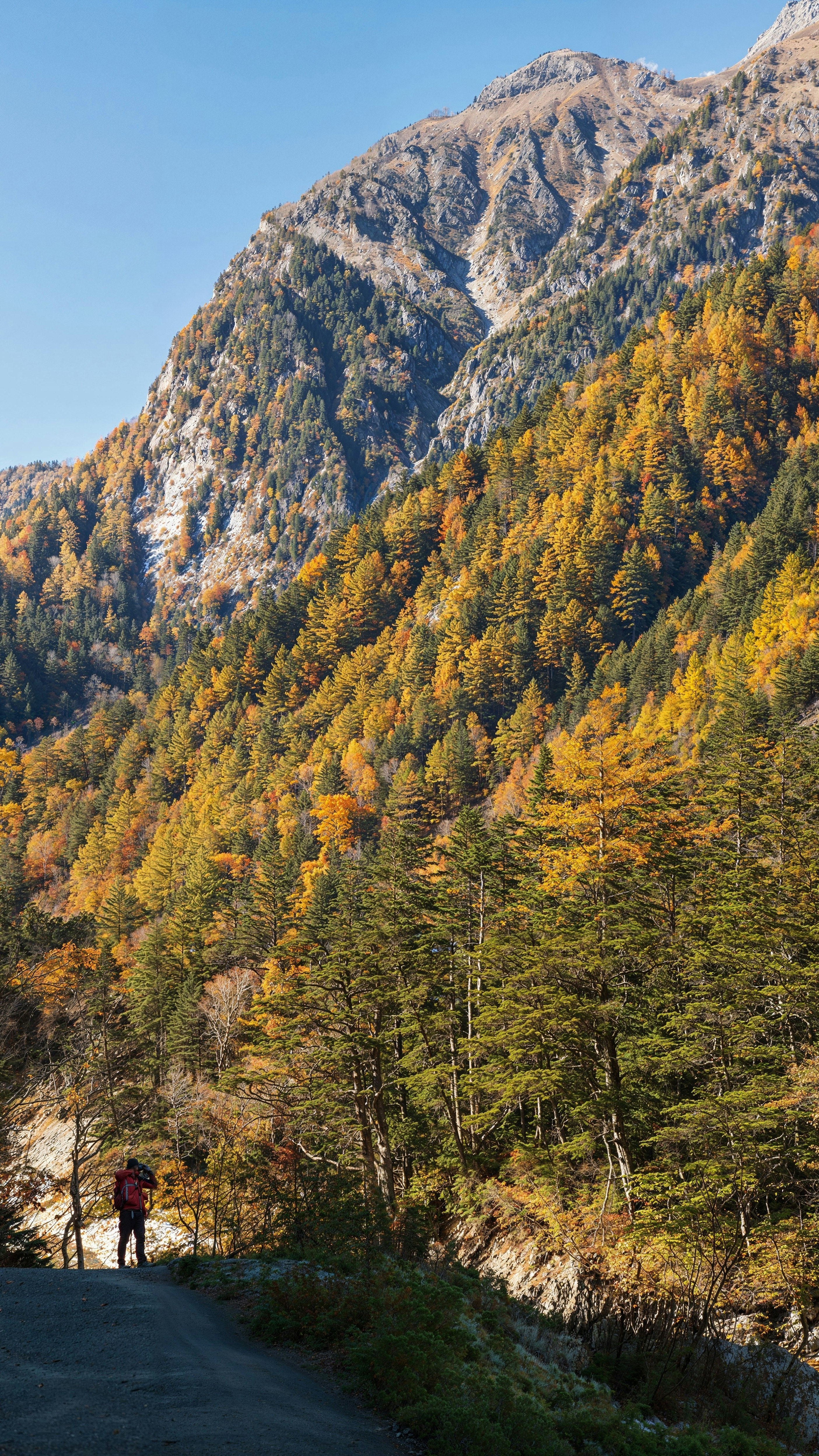Autumn Mountain Landscape with Hiker