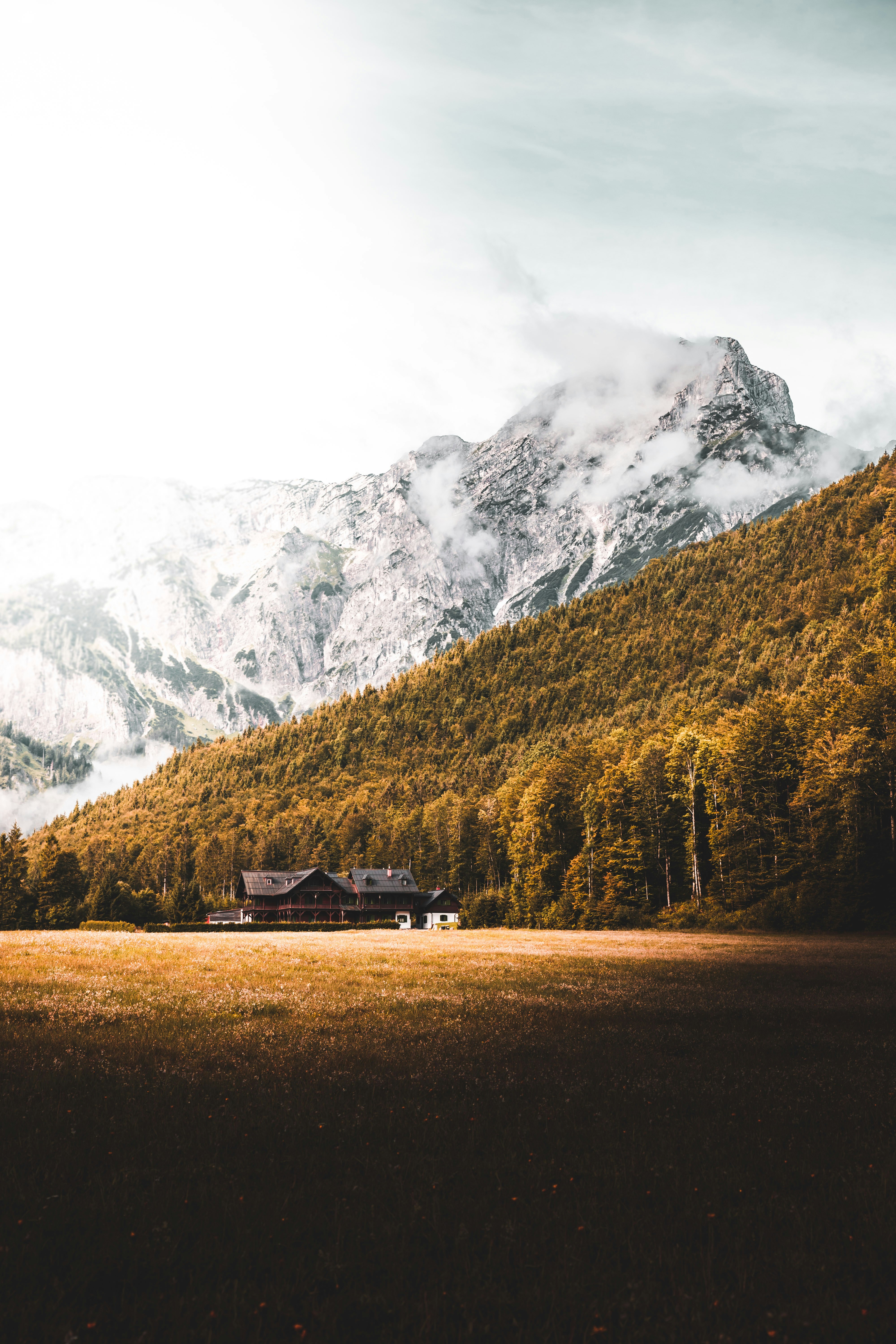 Mountain Cabin in Alpine Meadow
